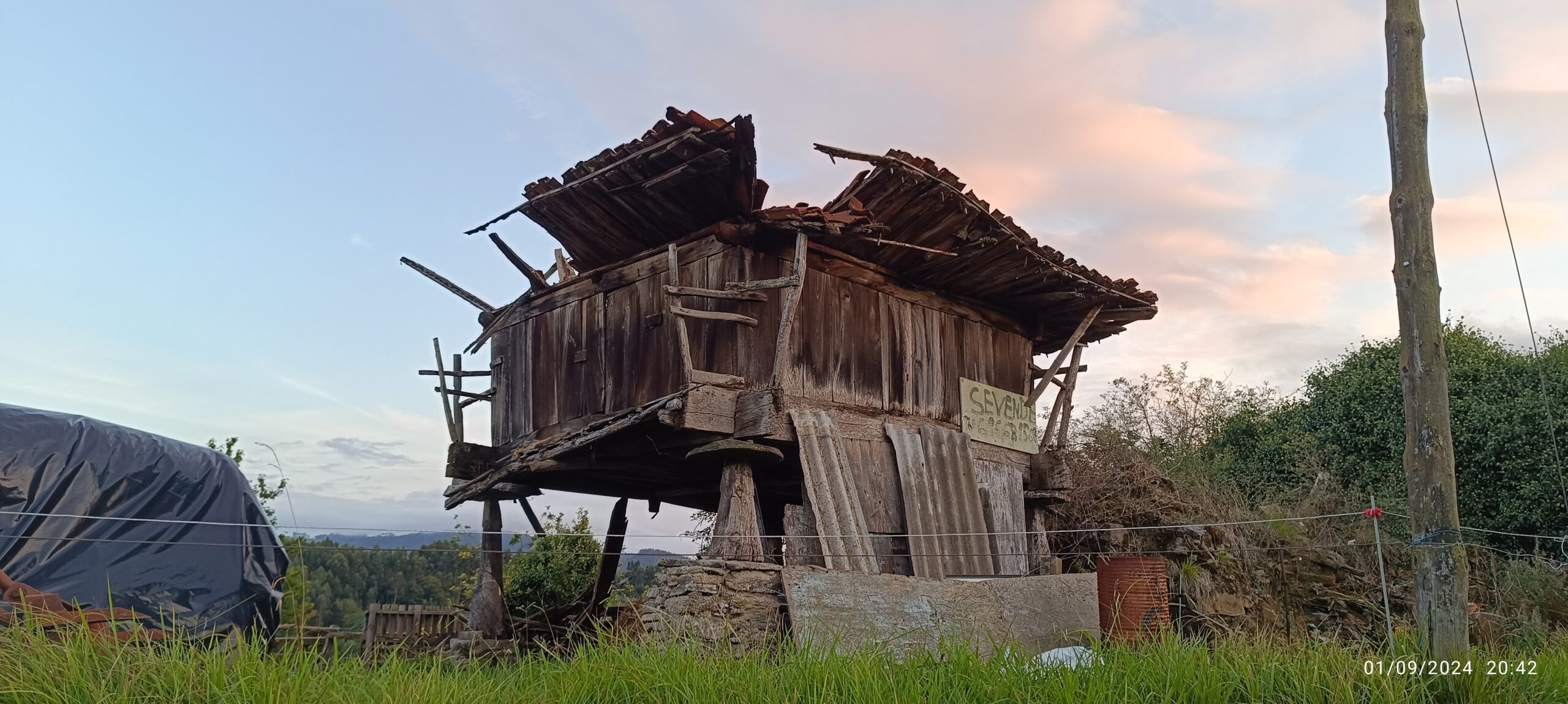 semeya-1-horru.01.LosCabos-Pravia-01.09.2024