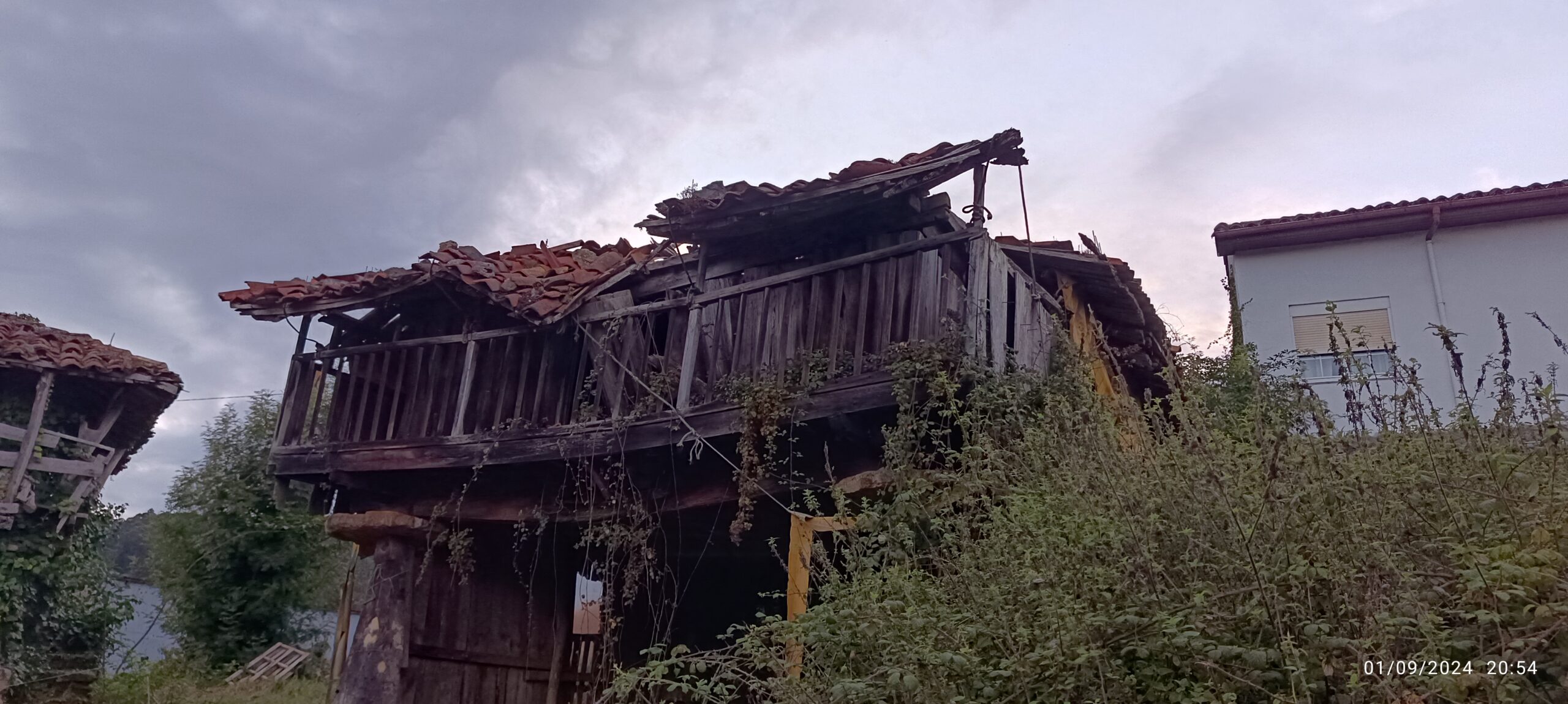 semeya-1-horru.02.LosCabos-Pravia-01.09.2024