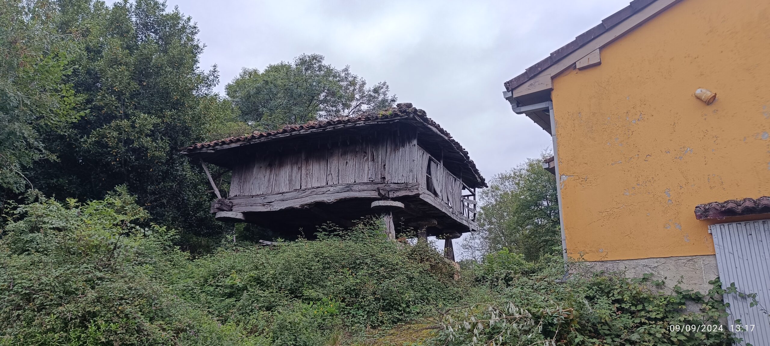 semeya-1-horru.02.Villandás-Grau-09.09.2024