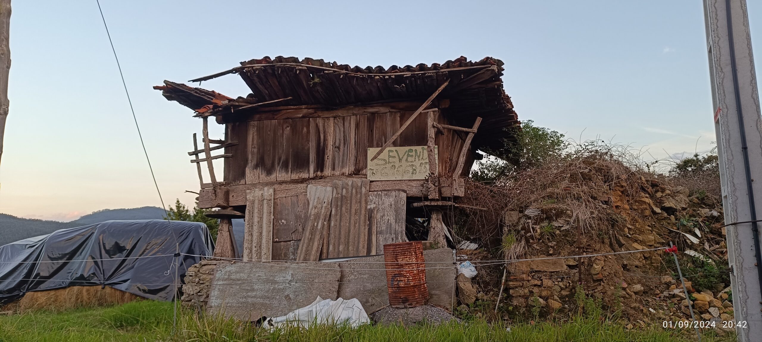 semeya-2-horru.01.LosCabos-Pravia-01.09.2024