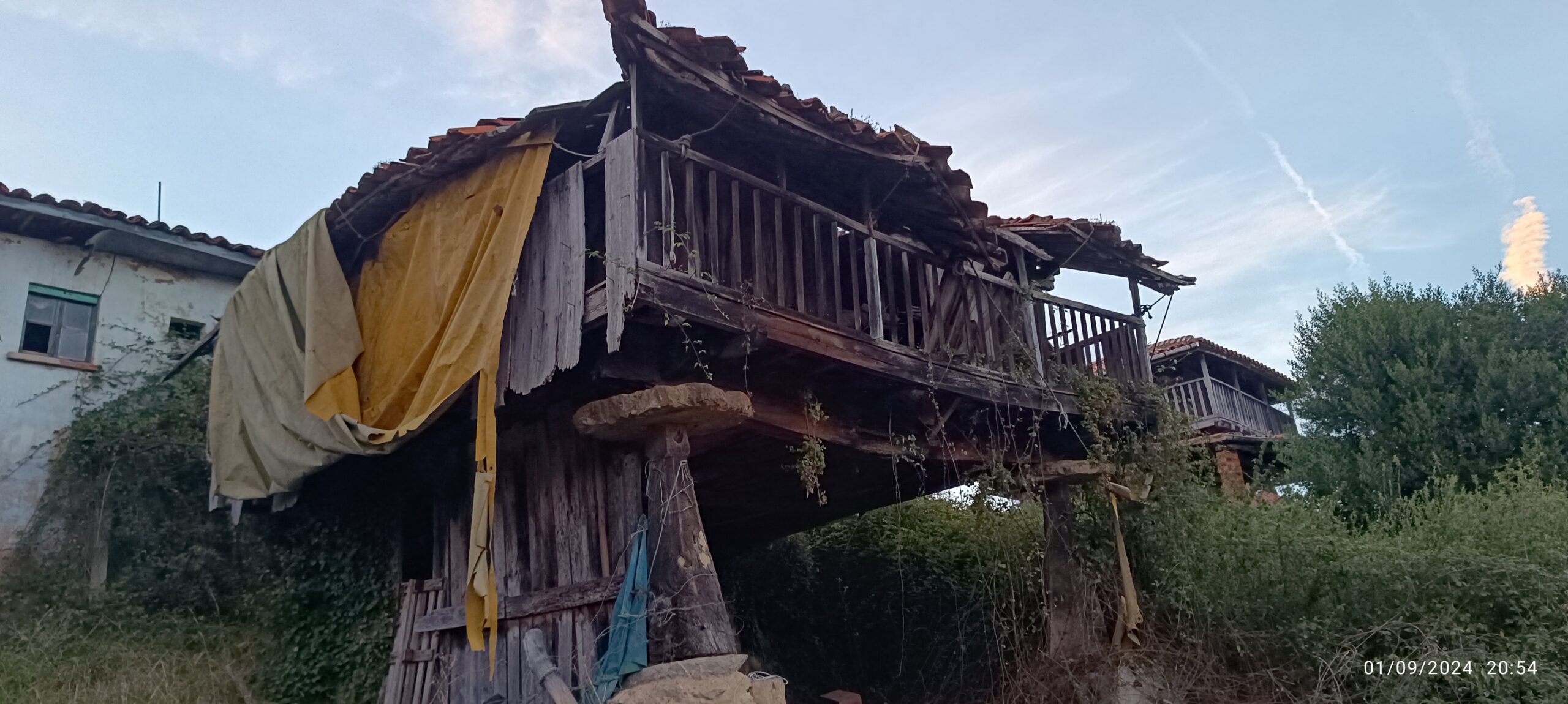 semeya-2-horru.02.LosCabos-Pravia-01.09.2024