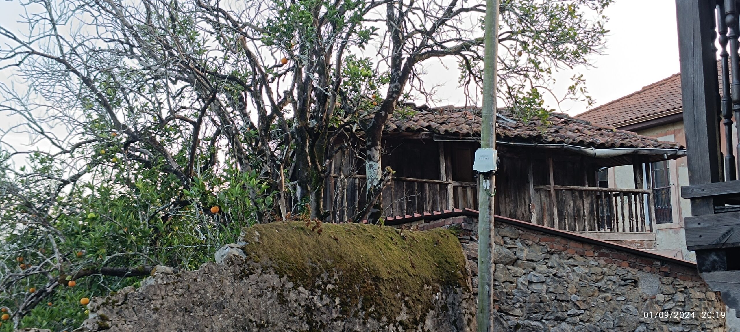semeya-2-horru.02.Santianes-Pravia-01.09.2024