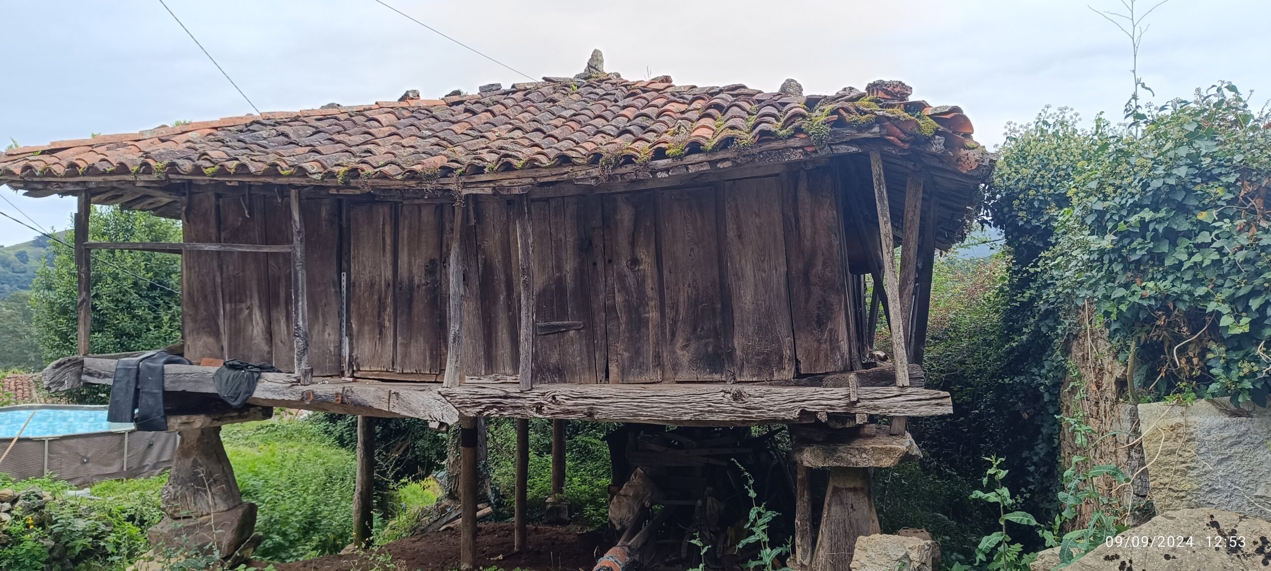 semeya-2-horru.Santianes-Grau-09.09.2024