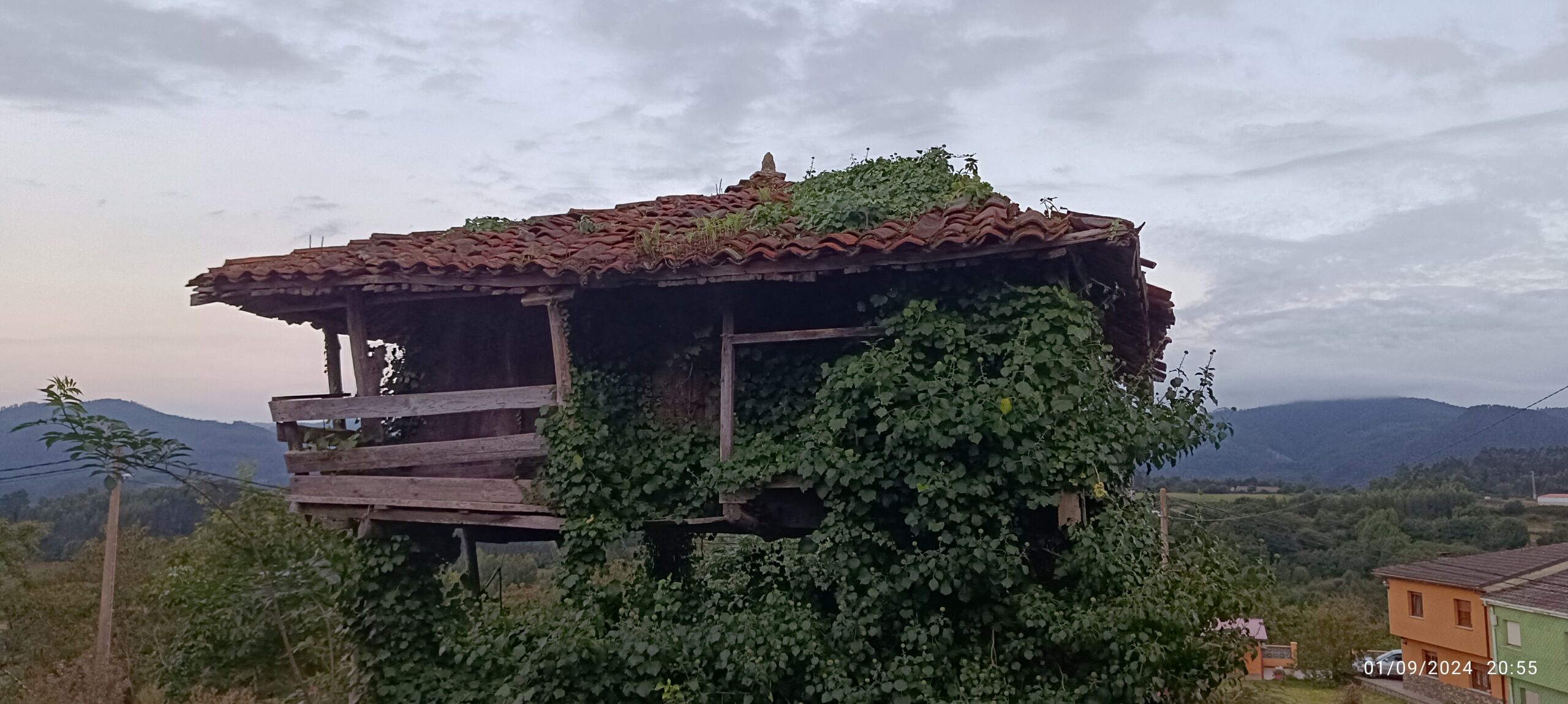 semeya-3-horru.03.LosCabos-Pravia-01.09.2024
