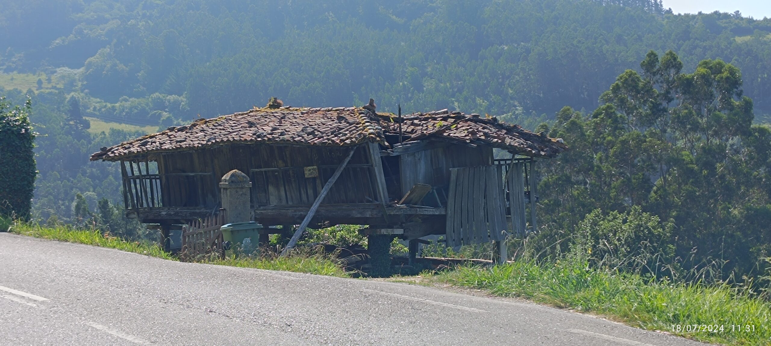 semeya-3-panera.Fenoeda-Candamu-18.07.2024