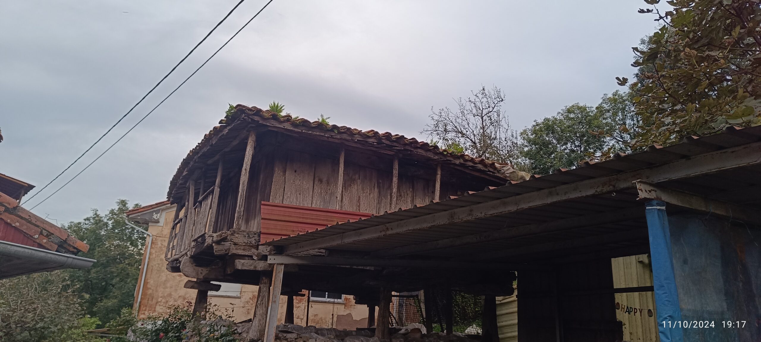 semeya-11.10.2024-1-horru.Sandiche-Candamu-