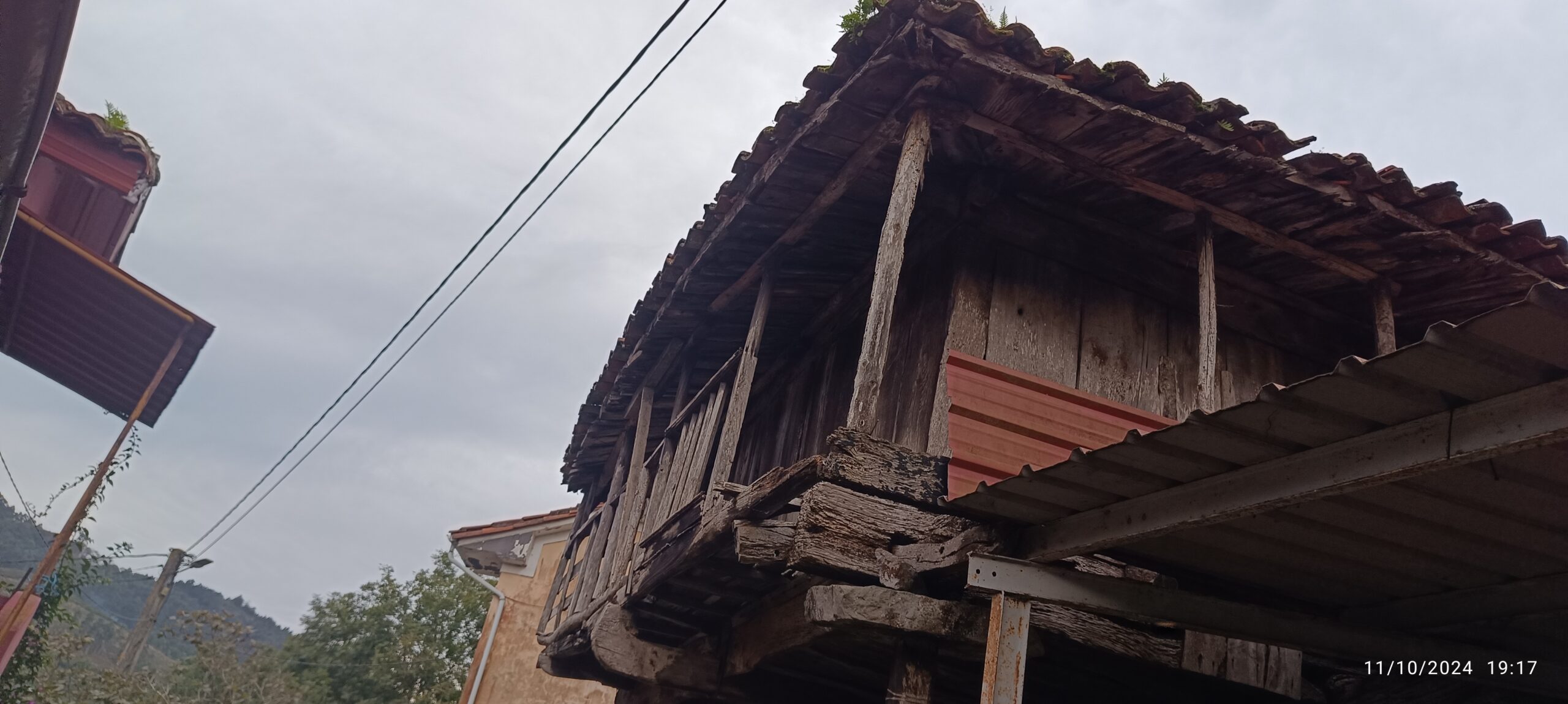 semeya-11.10.2024-2-horru.Sandiche-Candamu-