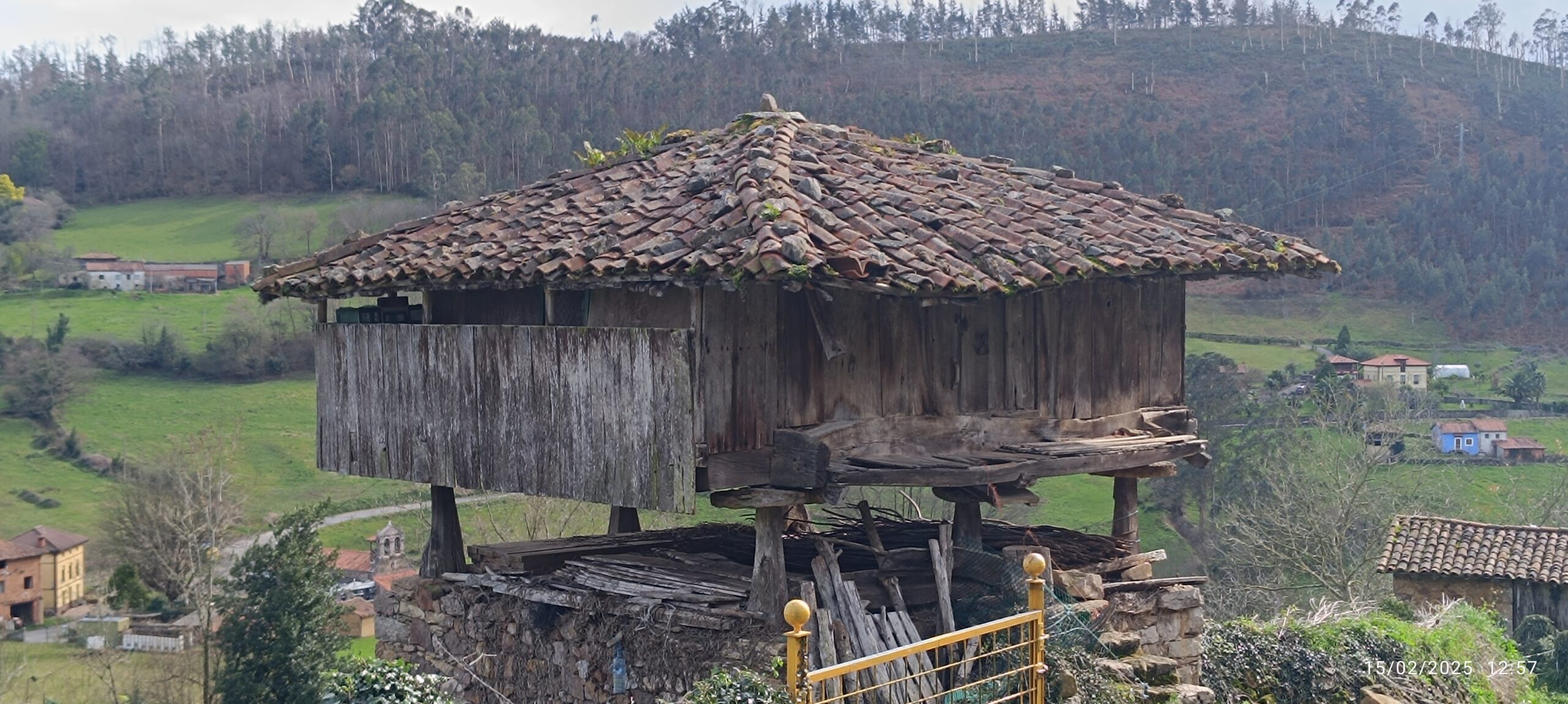 semeya-15.02.2025-2-horru.01.Praúa-Candamu-