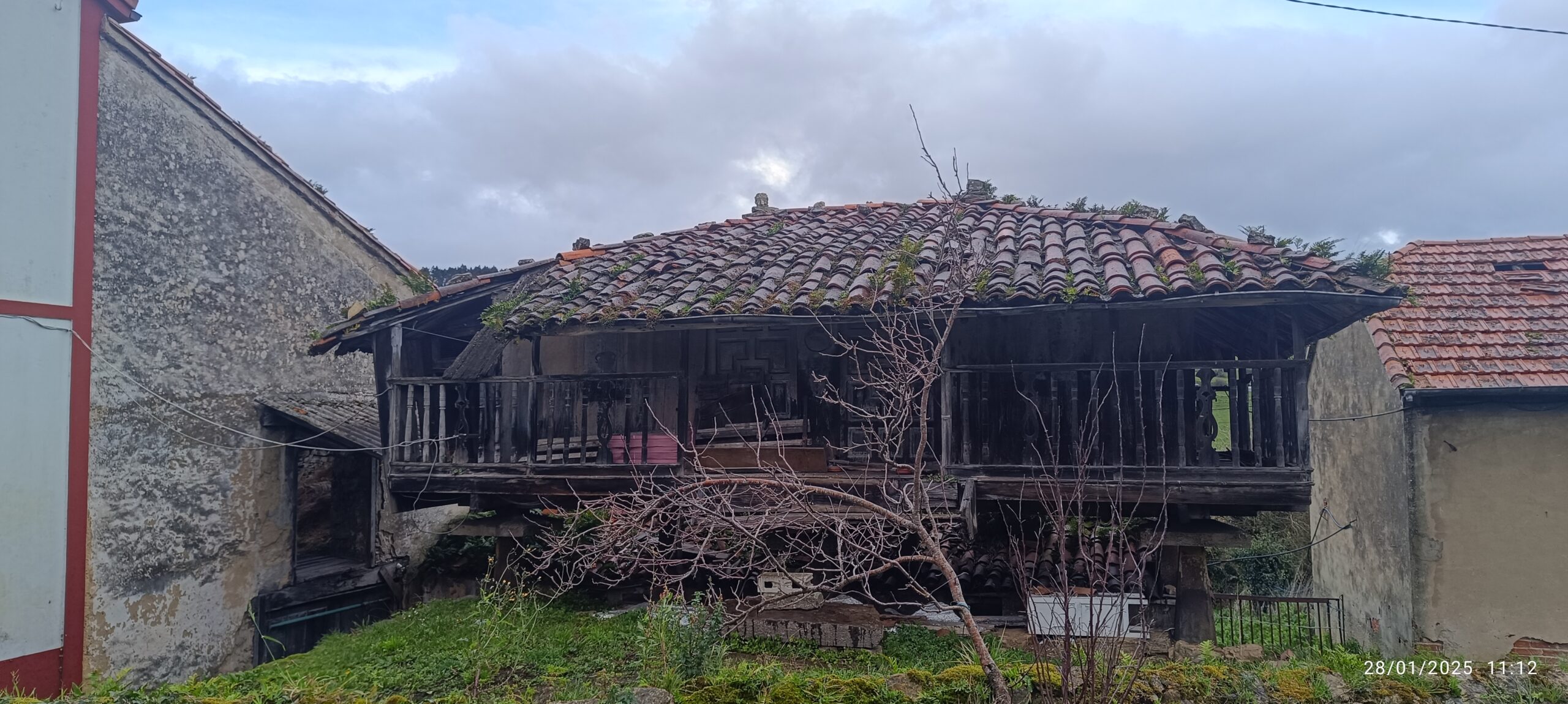 semeya-2-panera.LaCalabaza-Corvera-28.01.2025
