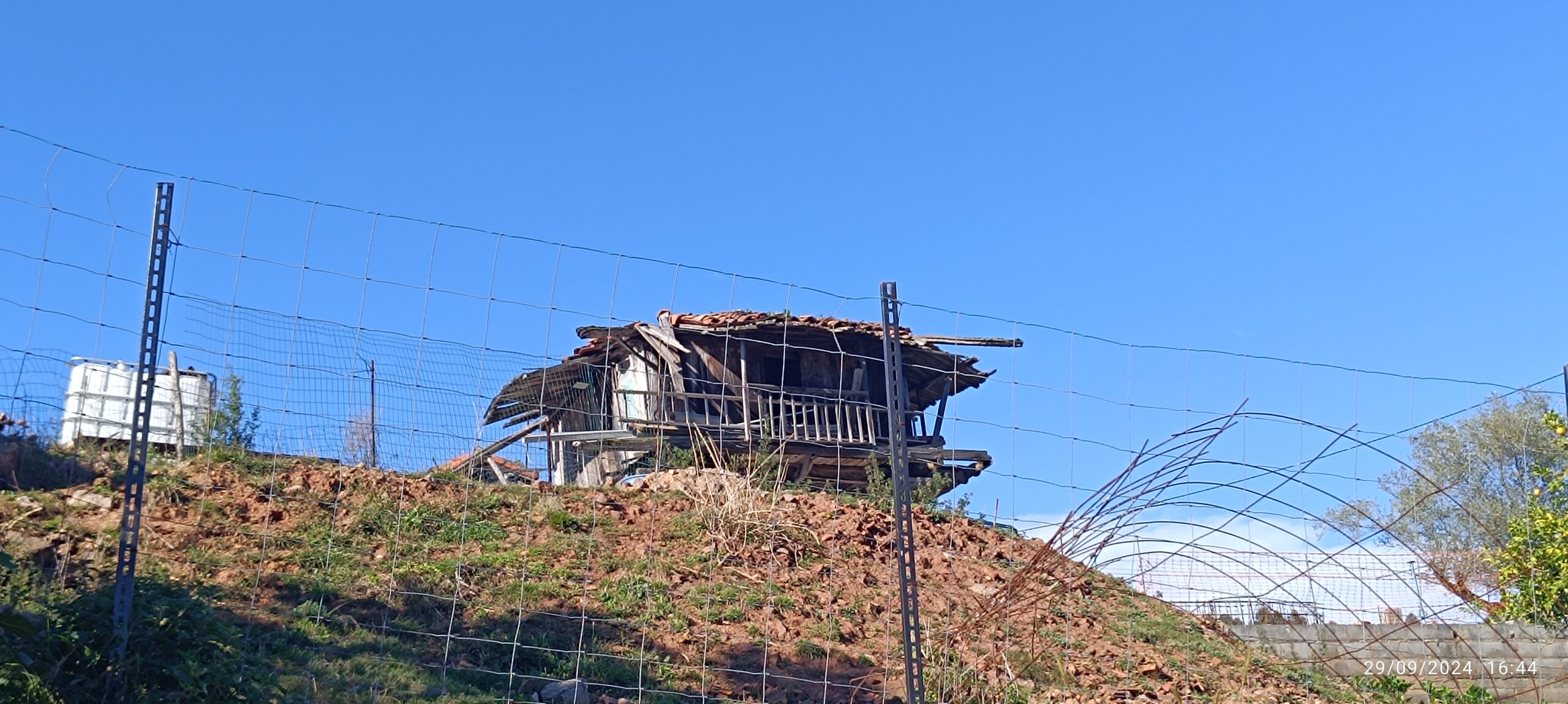 semeya-3-horru.LaFerrián-Carreño-29.09.2024