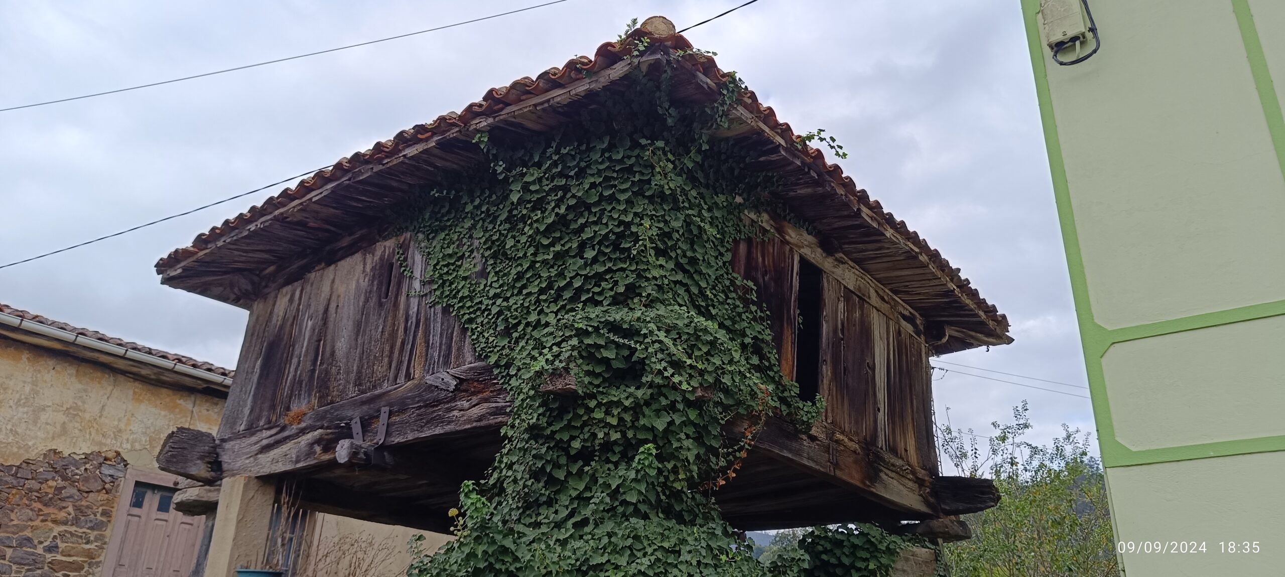 semeya-4-horru.Corniana-Salas-09.09.2024