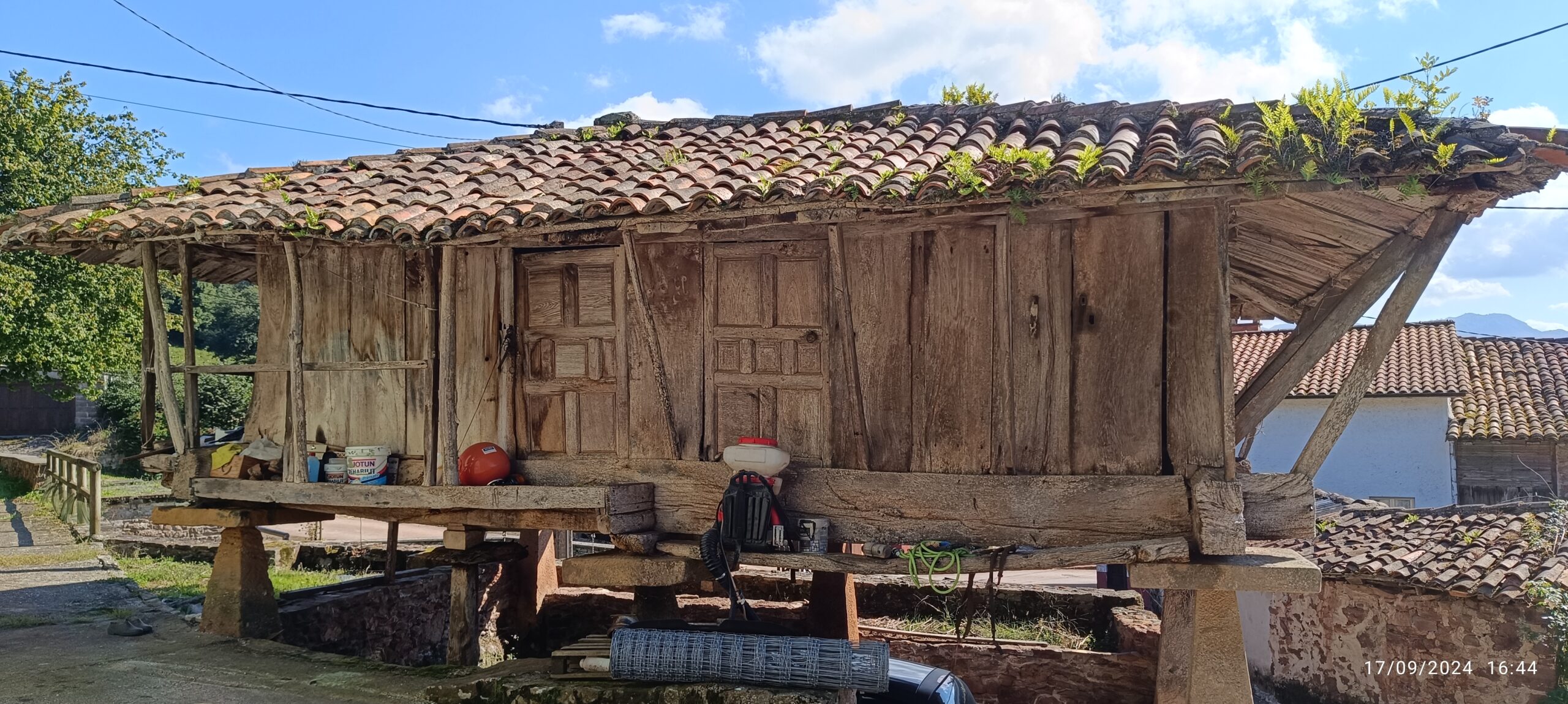 semeya-4-panera.LosVillares-Cabranes-17.09.2024