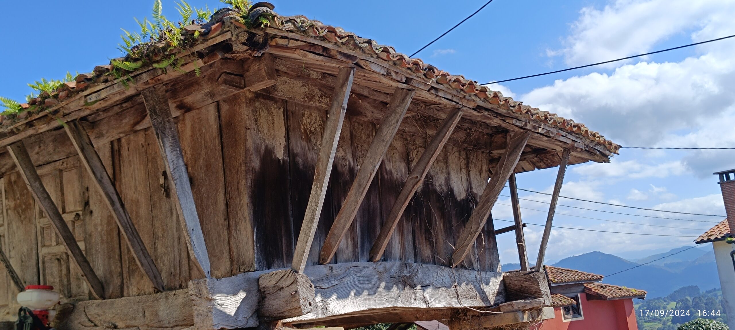 semeya-5-panera.LosVillares-Cabranes-17.09.2024