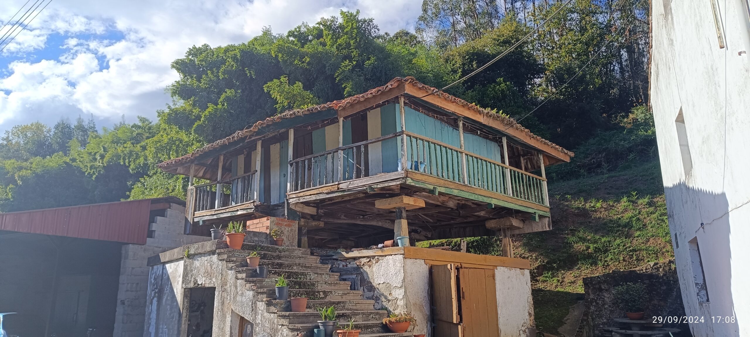 semeya-1-panera.02.ElRendaliego-Carreño-29.09.2024