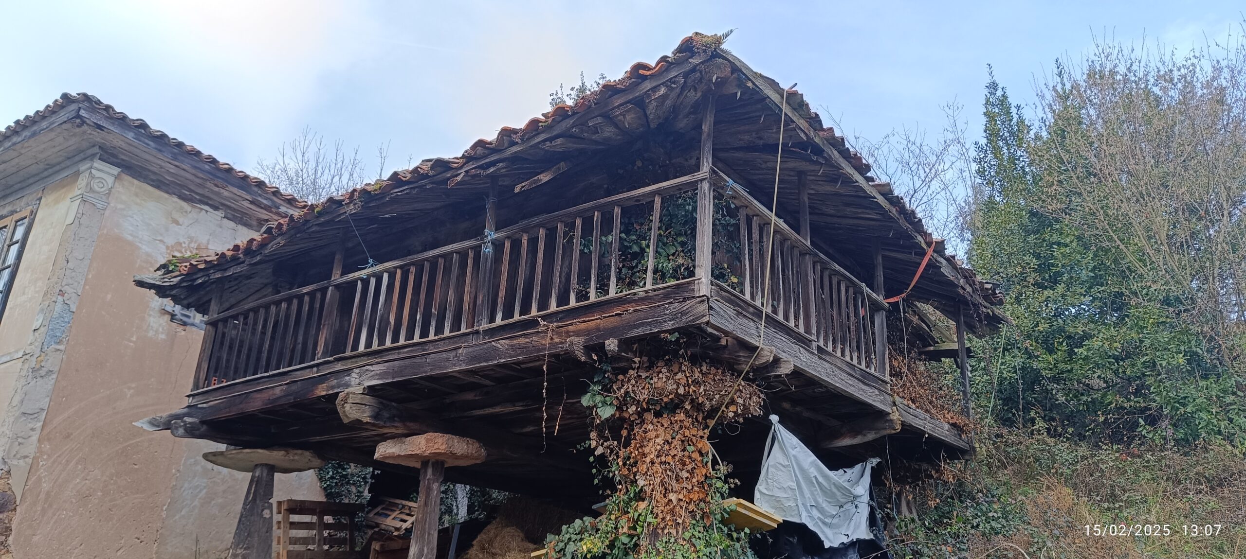 semeya-15.02.2025-3-horru.03.Praúa-Candamu-