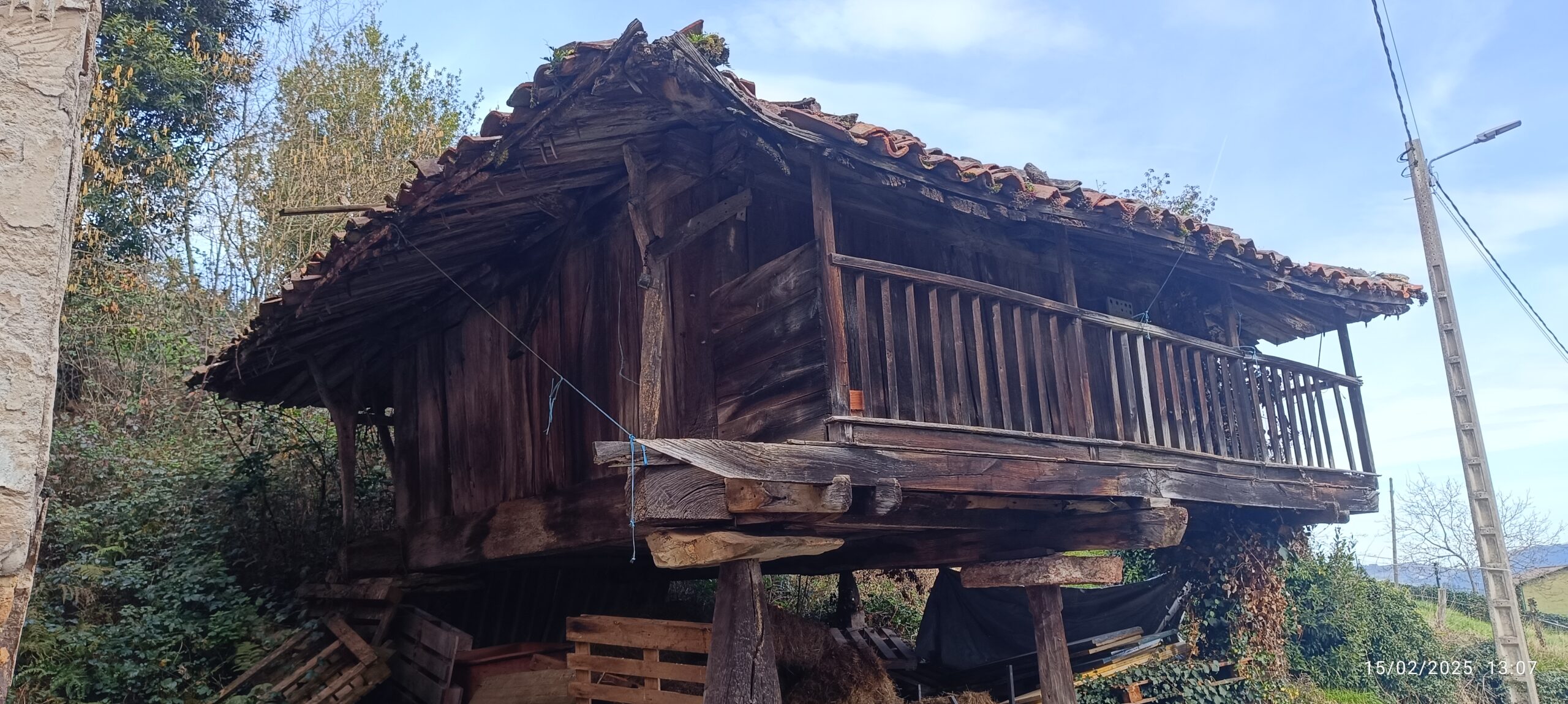 semeya-15.02.2025-4-horru.03.Praúa-Candamu-