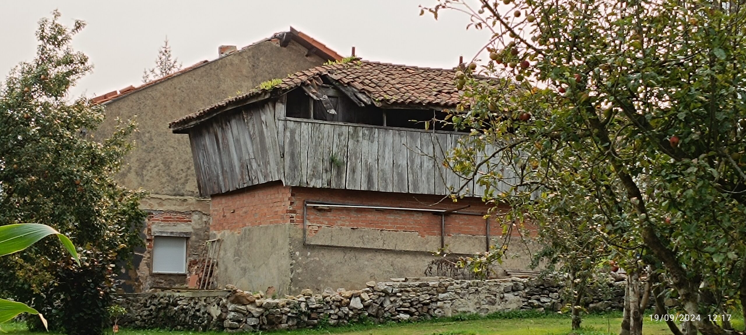 semeya-2-panera.AlredorlaIlesia-Tamón-Carreño–19.09.2024