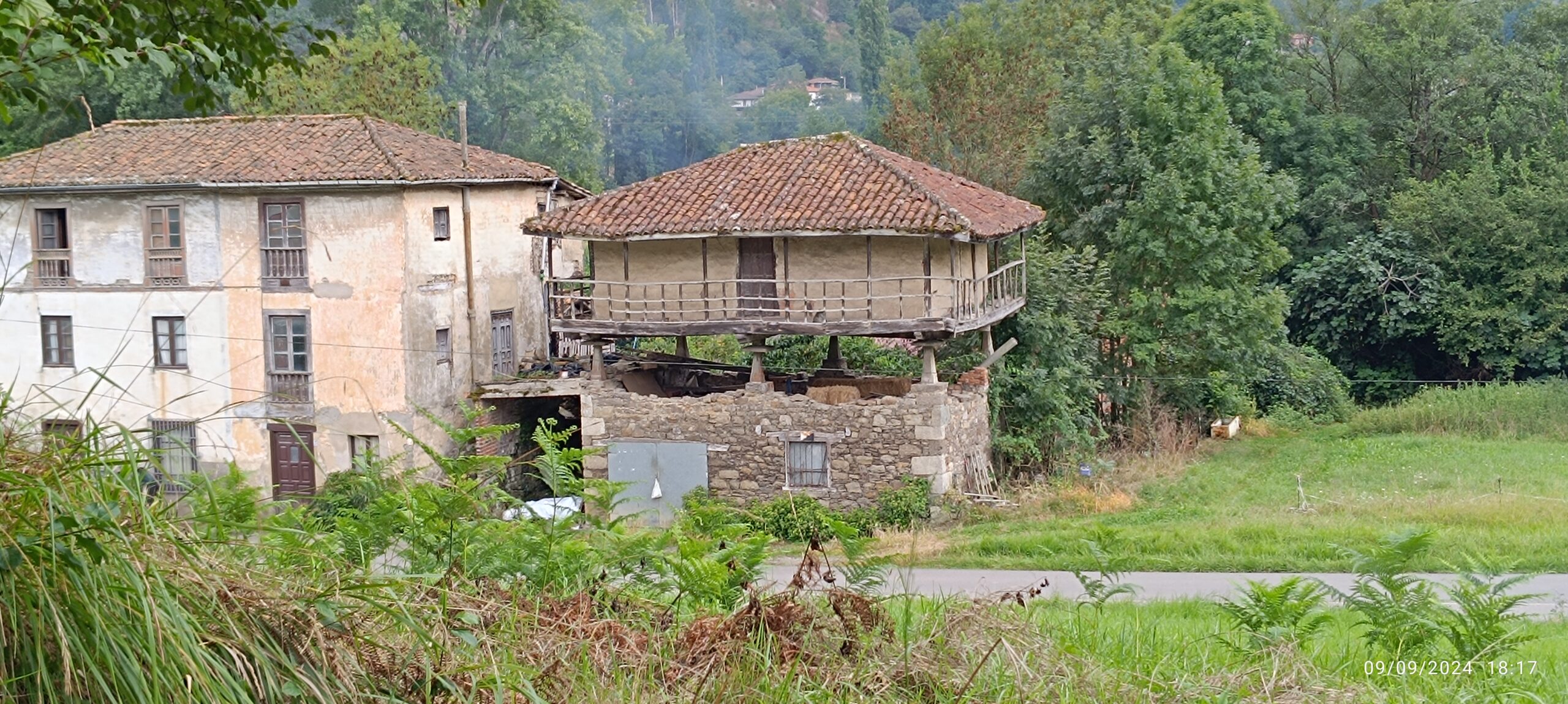 semeya-2-panera.Espinéu-Salas-09.09.2024