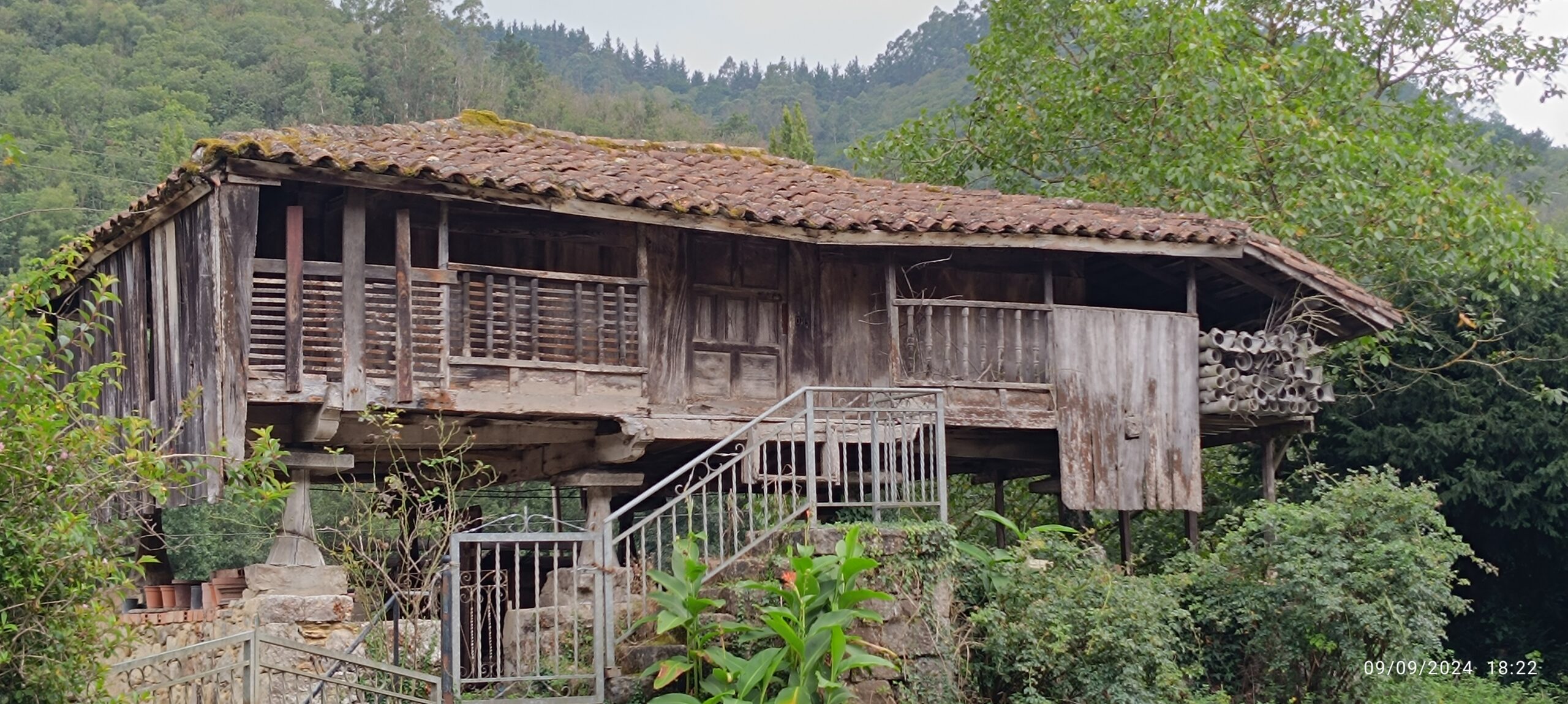 semeya-2-panera.LaVenta.Espinéu-Salas-09.09.2024