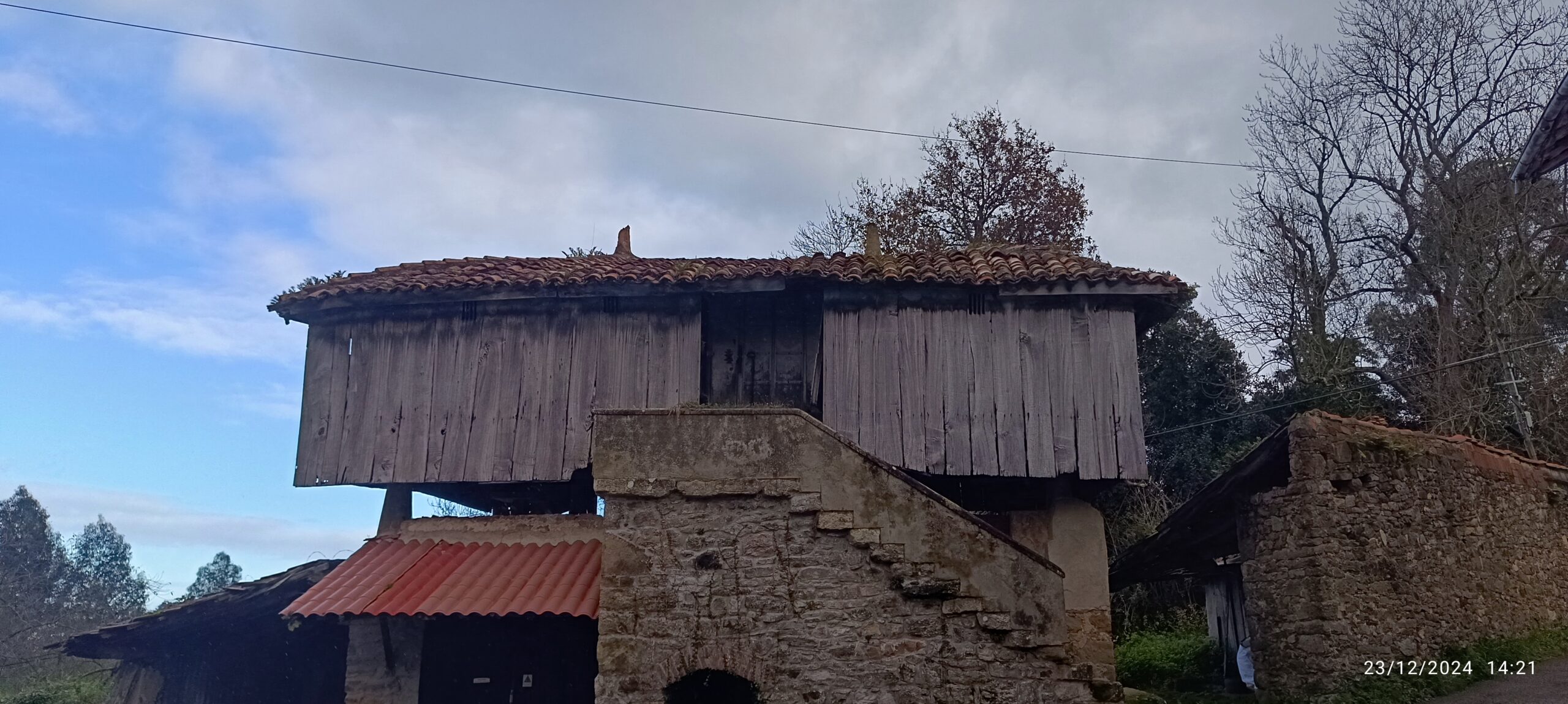 semeya-23.12.2024-1-panera.Ridón-Taborneda-Illas-
