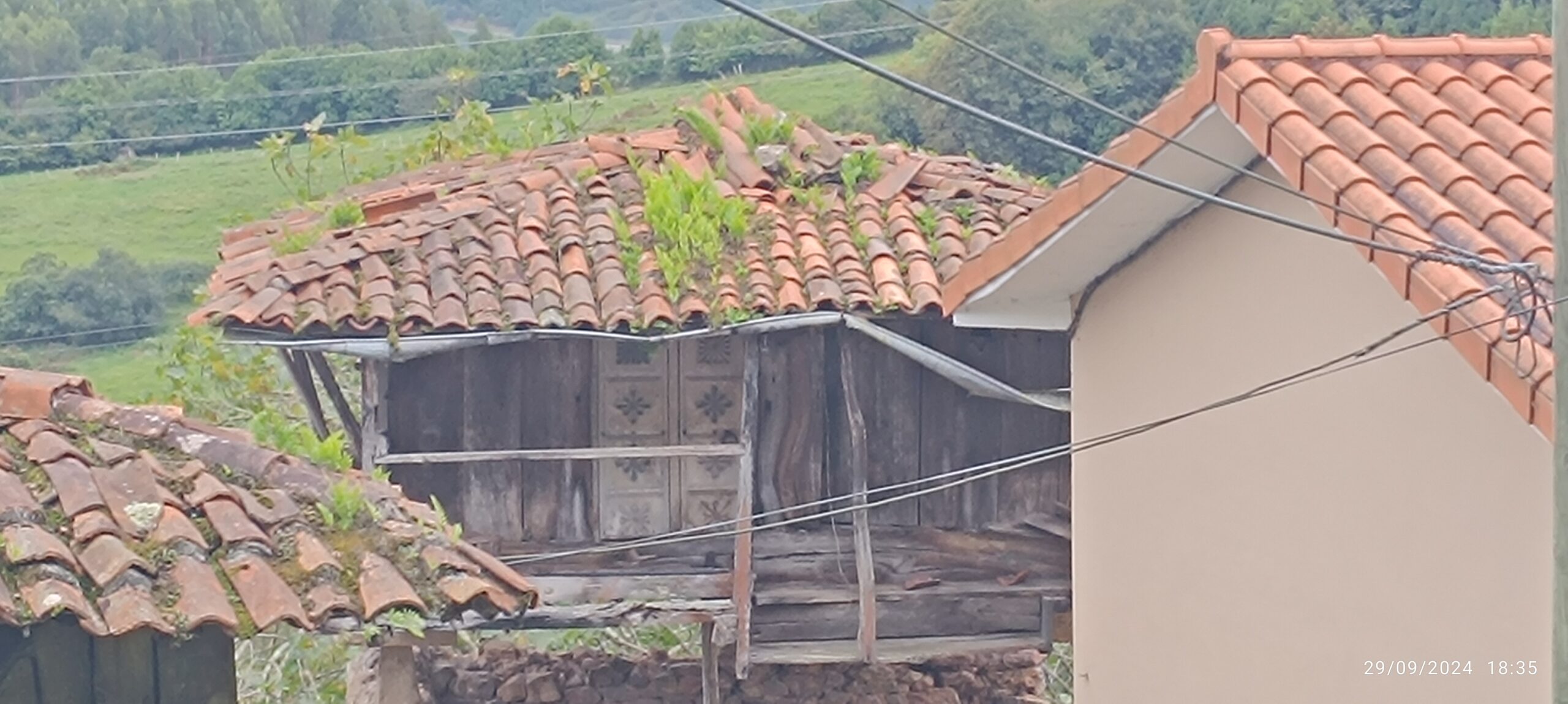 semeya-29.09.2024-3-horru.Viescas-Illas-