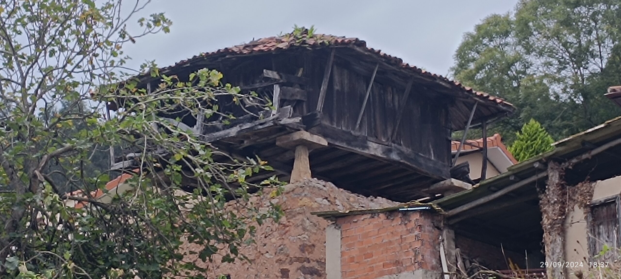 semeya-29.09.2024-5-horru.Viescas-Illas-