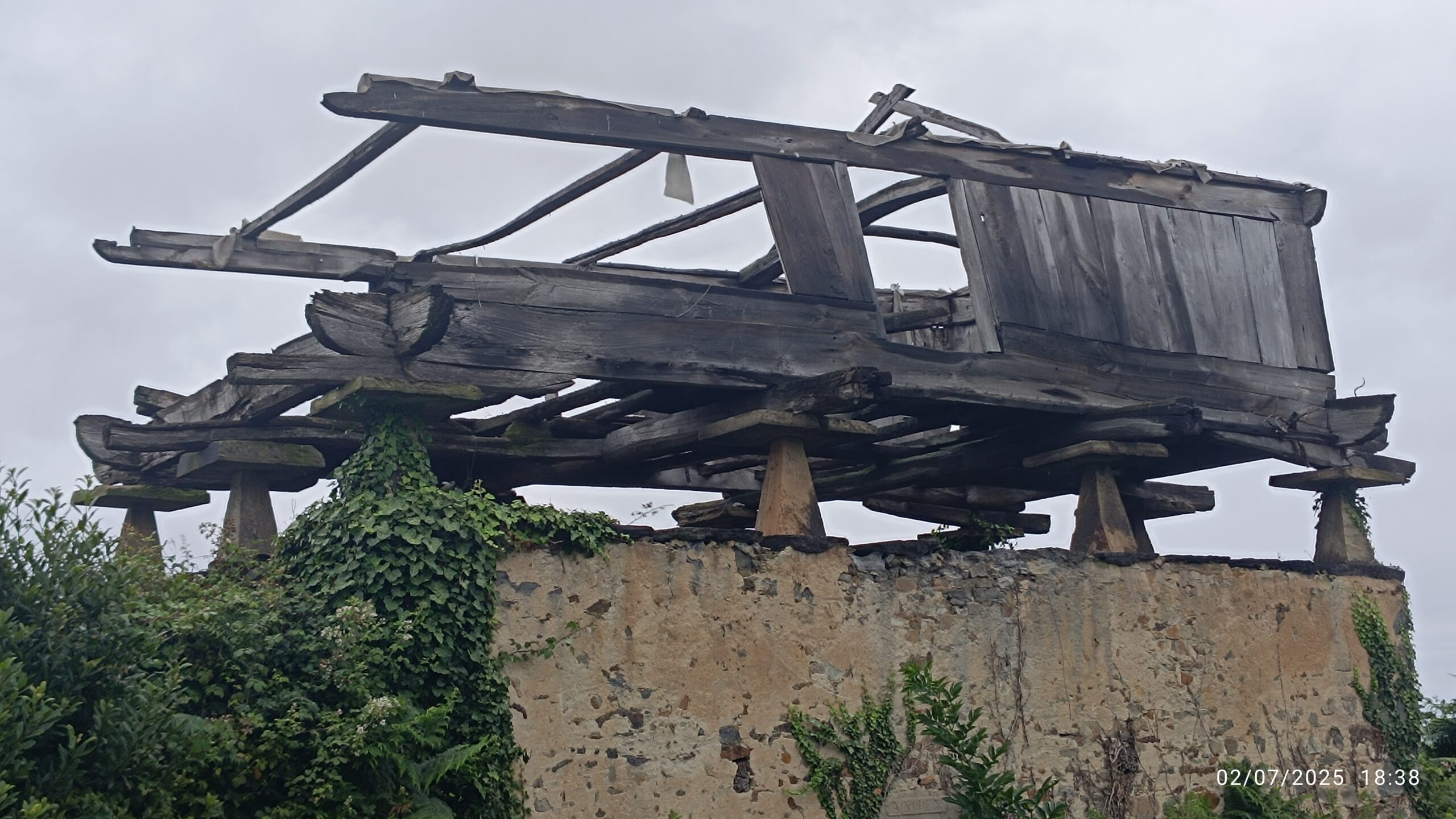 semeya-4-panera.01.Bustu-Valdés-02.07.2025