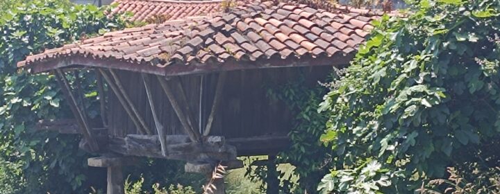 semeya-2-horru.01.LaLluz-Avilés-17.06.2025-1900×1900