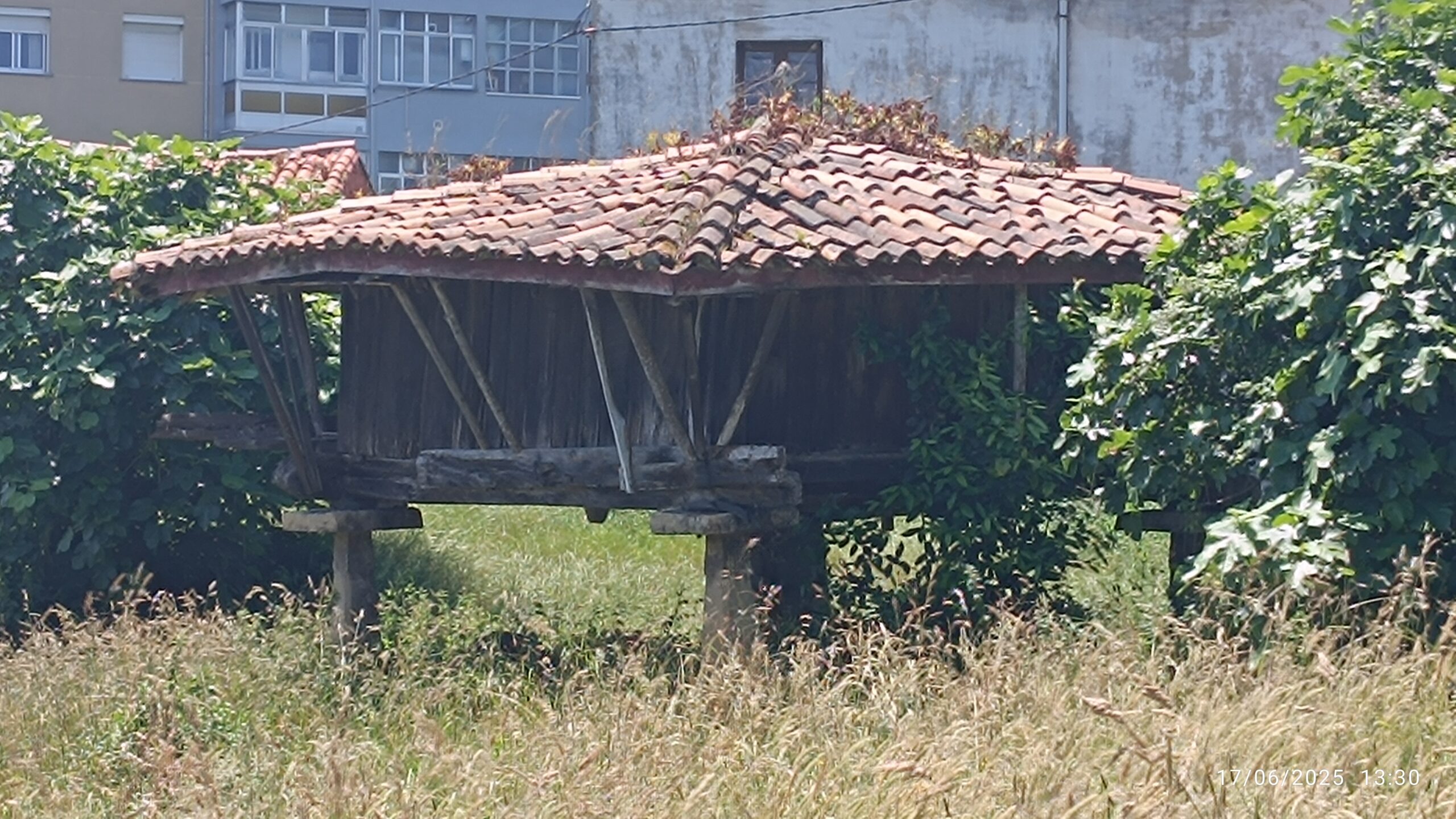 semeya-3-horru.01.LaLluz-Avilés-17.06.2025