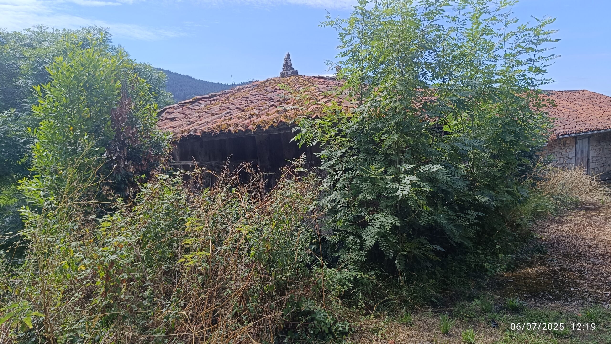 semeya-3-panera.03.Ferreiros-Candamu-06.07.2025