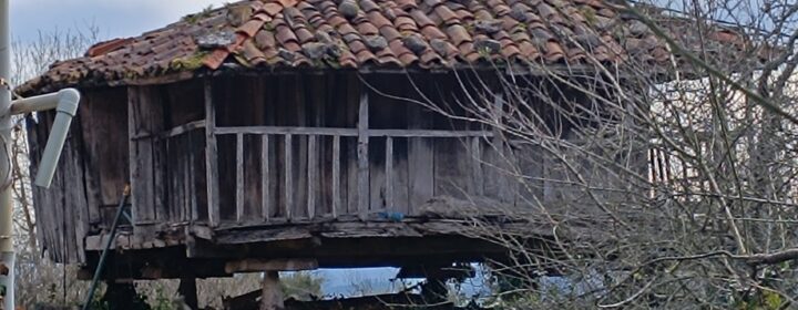 semeya-3-panera.Picarosu-Grau-15.02.2025-1700×1700