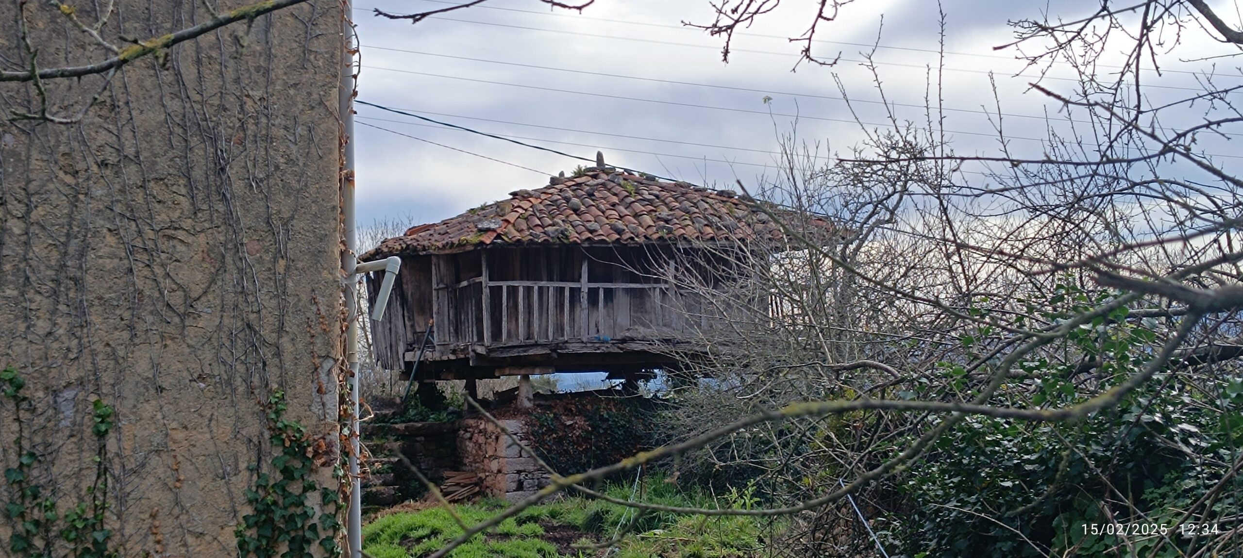semeya-3-panera.Picarosu-Grau-15.02.2025