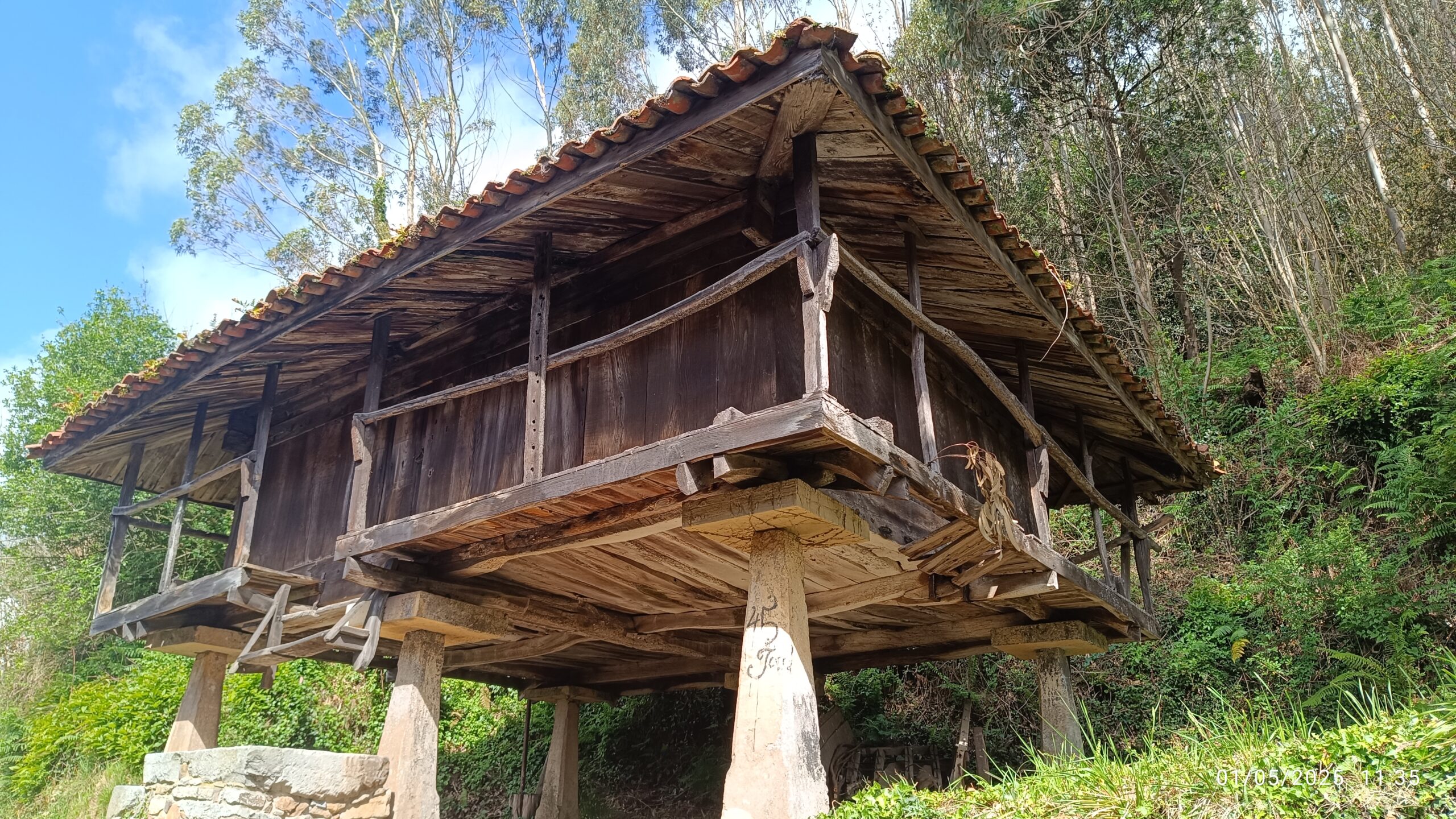 semeya-4-horru.Sebades-Carreño-01.05.2025-