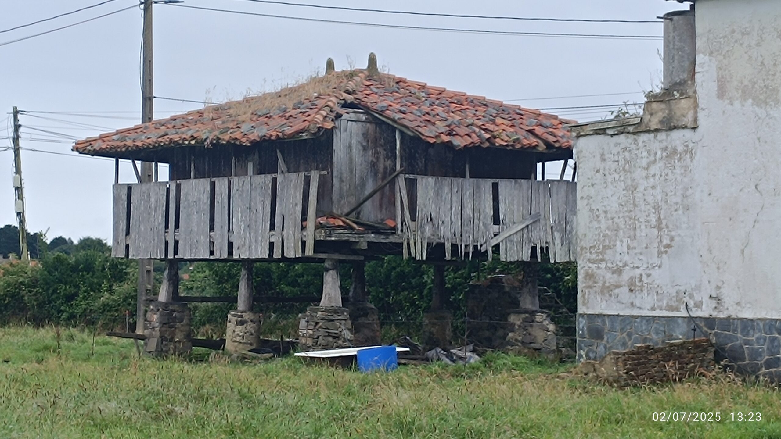 semeya-4-panera.02.Ouviñana-Cuideiru-02.07.2025