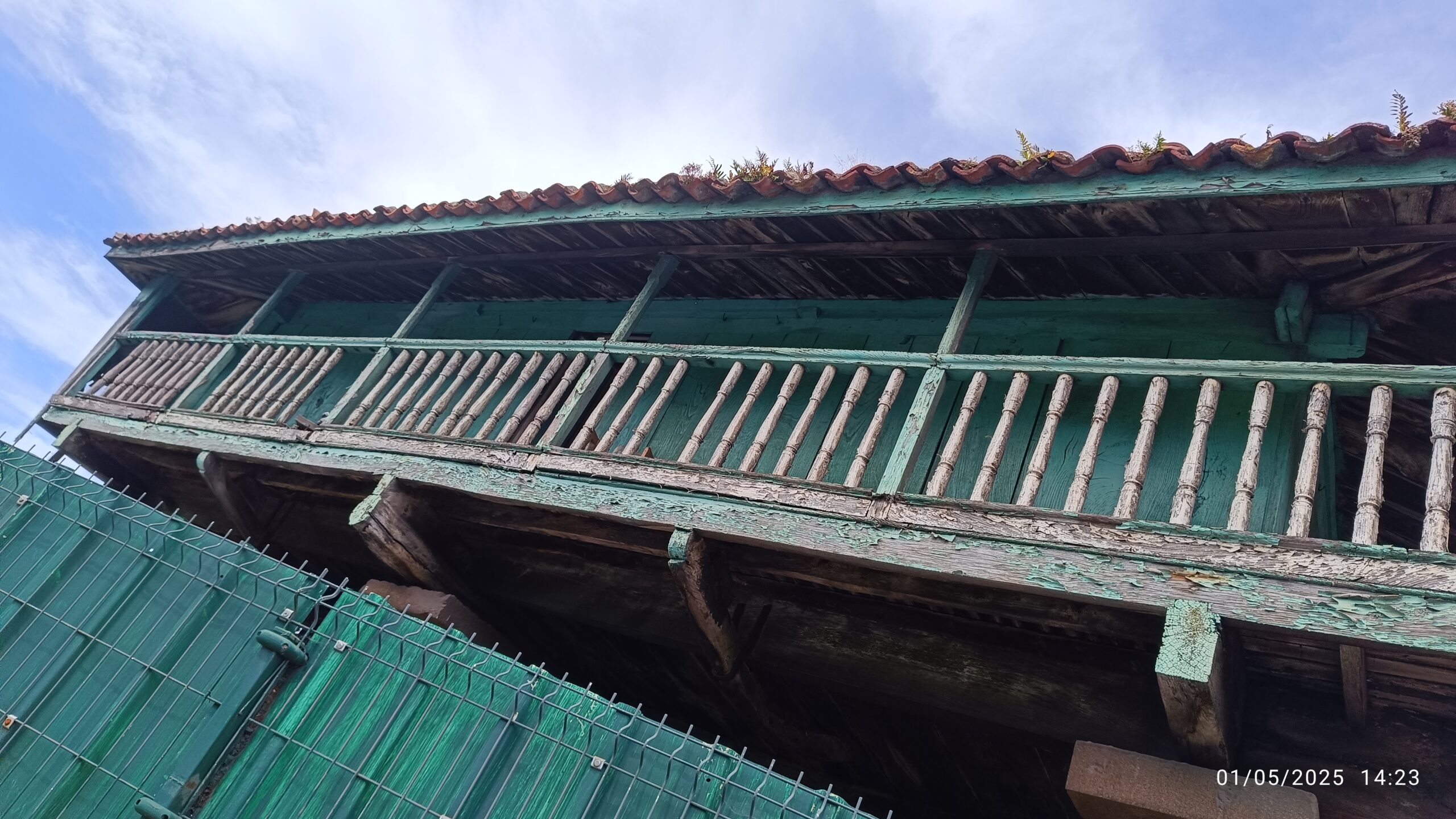 semeya-4-panera.Gudín-Tresona-Corvera-01.05.2025