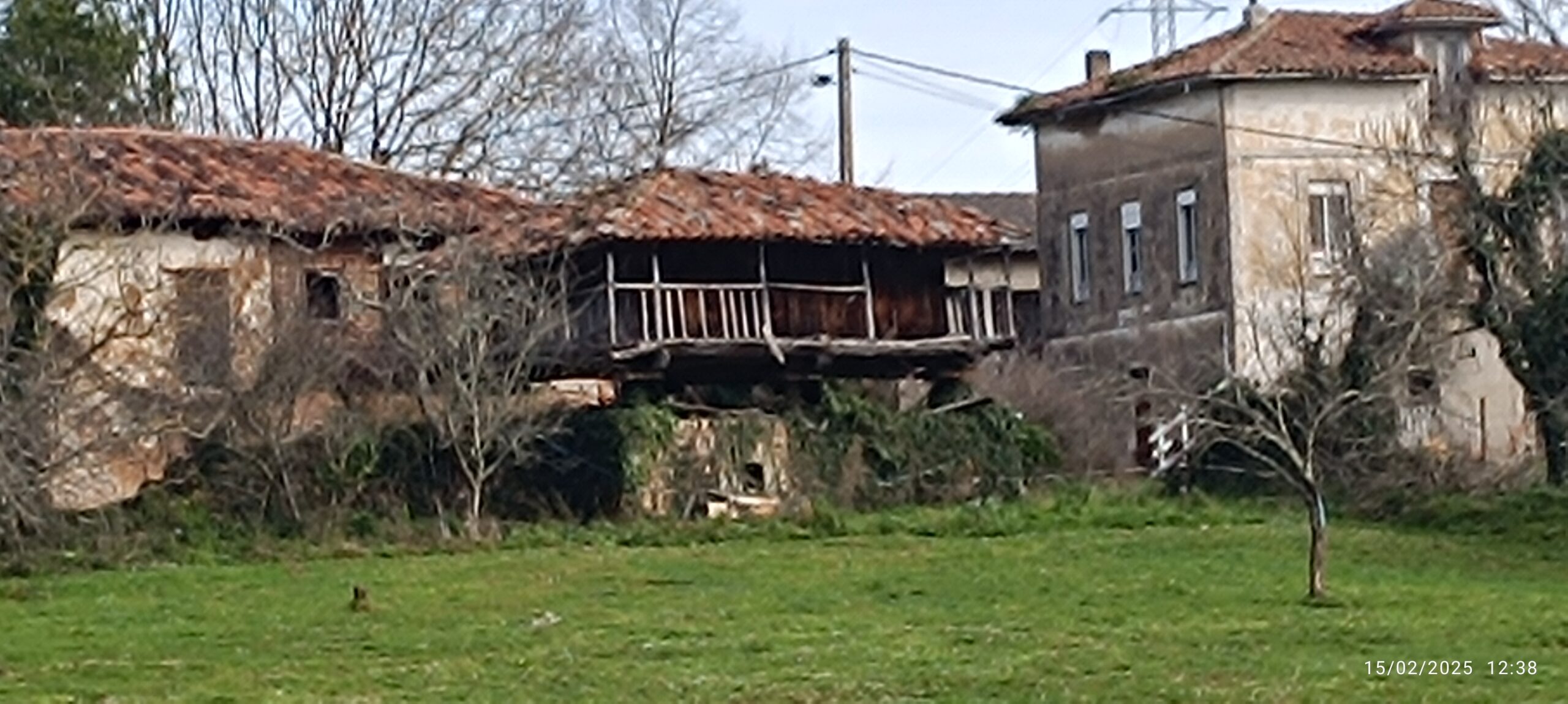 semeya-4-panera.Picarosu-Grau-15.02.2025