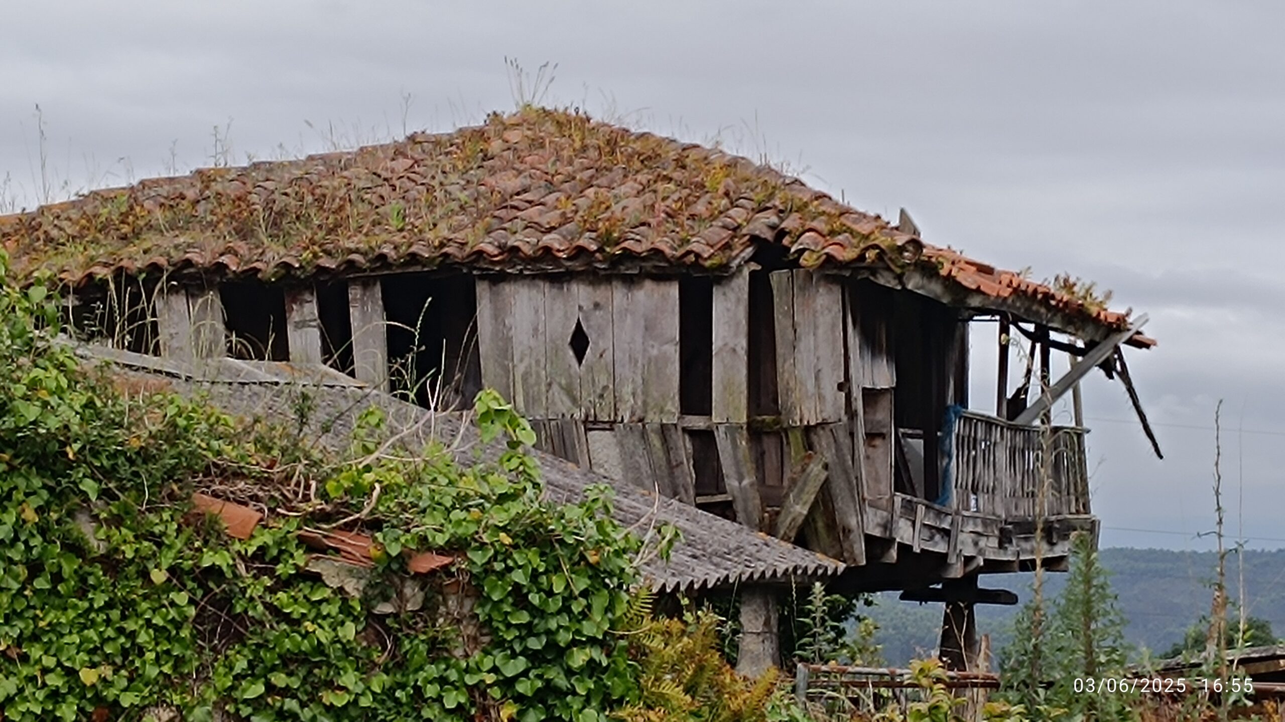 semeya-5-horru.01.Nuña-Corvera-03.06.2025