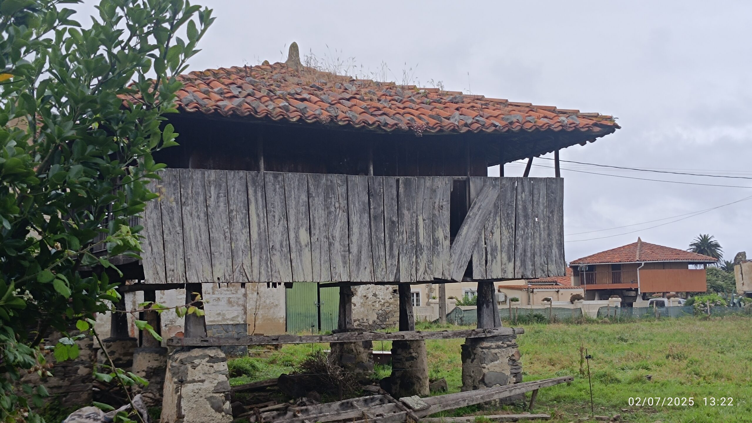 semeya-5-panera.02.Ouviñana-Cuideiru-02.07.2025