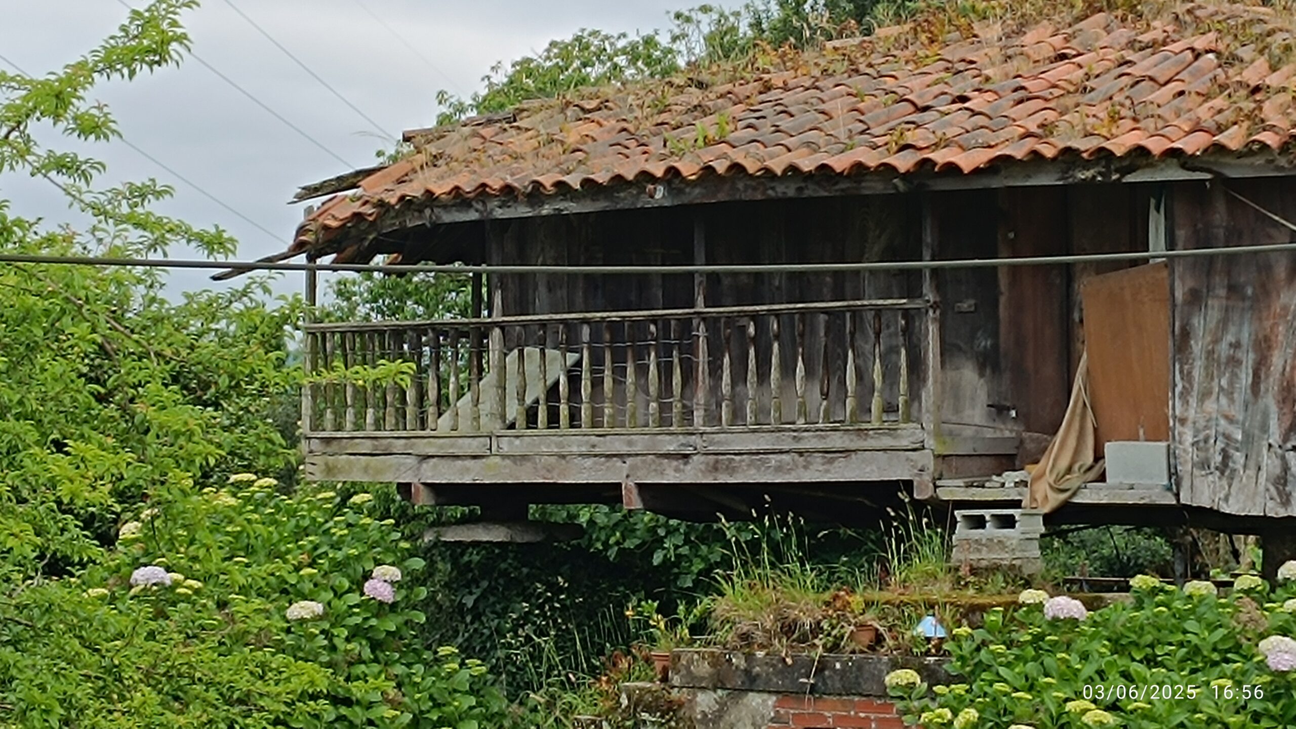 semeya-6-horru.01.Nuña-Corvera-03.06.2025