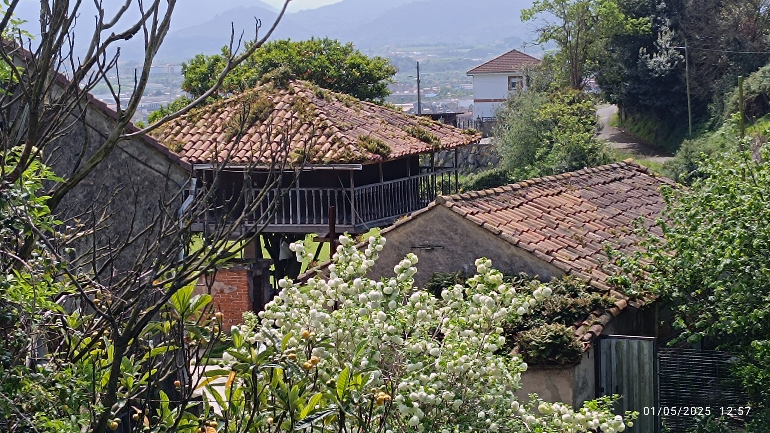 semeya-6-horru.CasaPinón-Rubín-Xixón-01.05.2025