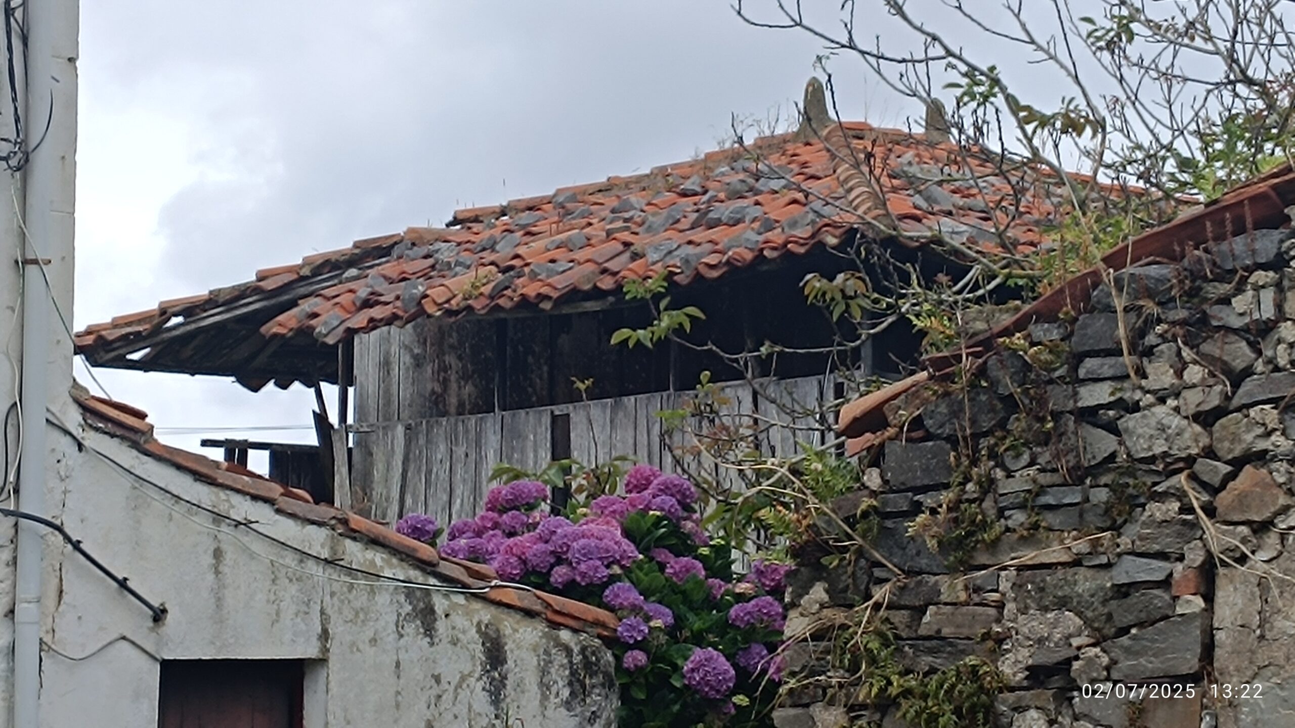 semeya-6-panera.02.Ouviñana-Cuideiru-02.07.2025