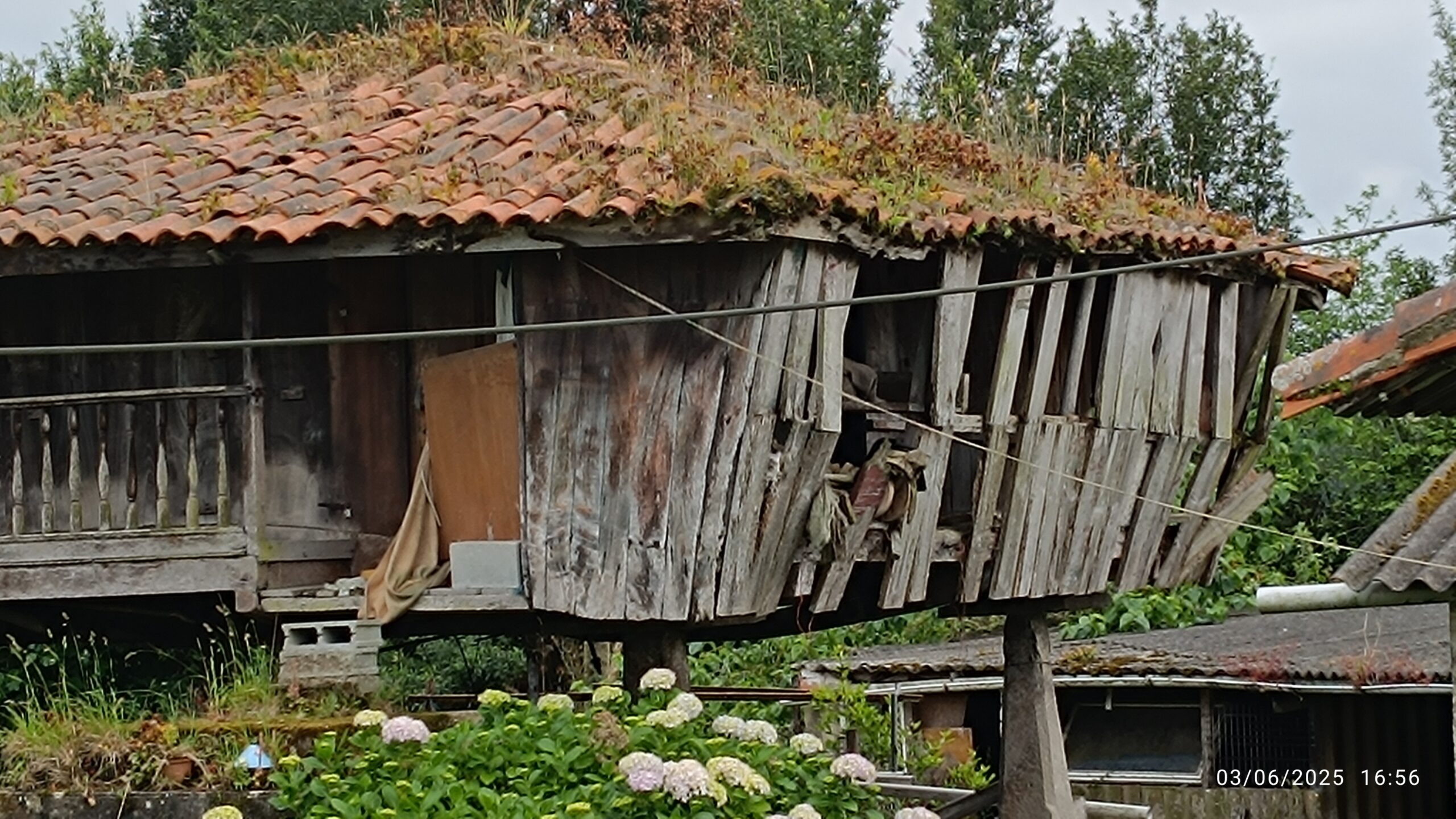 semeya-7-horru.01.Nuña-Corvera-03.06.2025