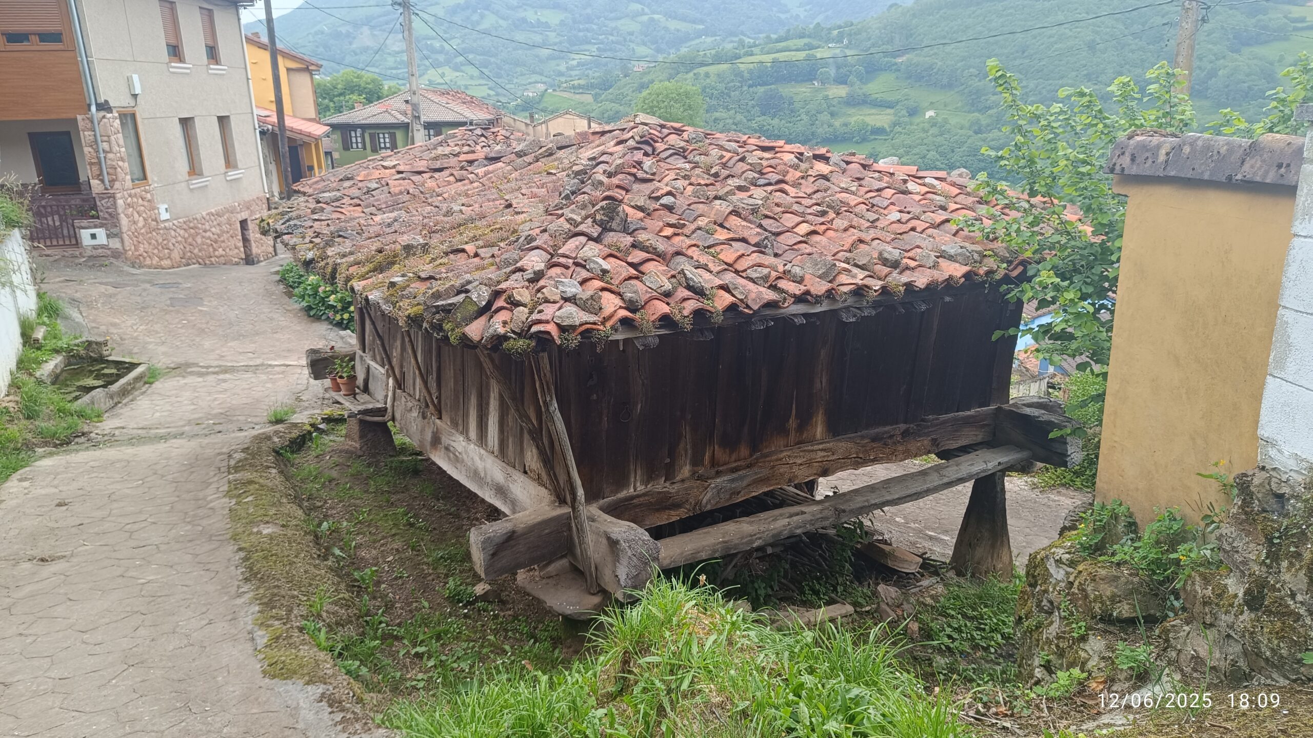 semeya-4-horru.01.Murieḷḷos-Riosa-12.06.2025