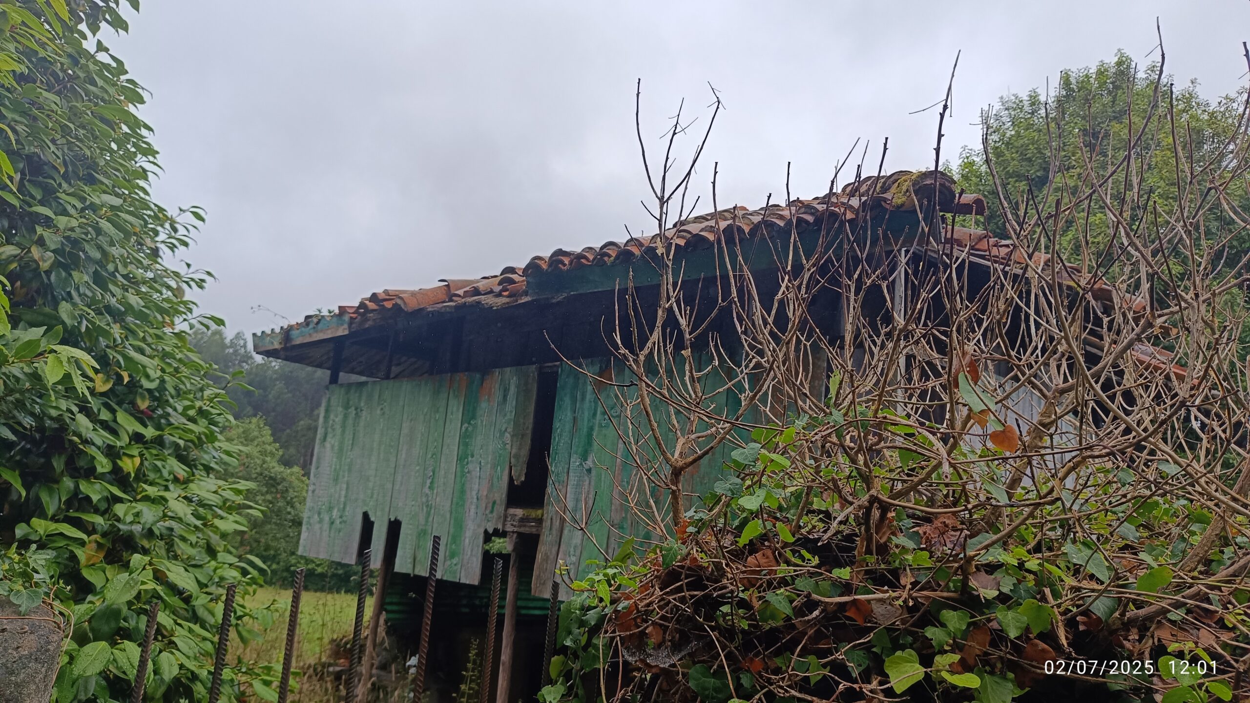 semeya-5-horru.01.Llamuñu-Cuideiru-02.07.2024