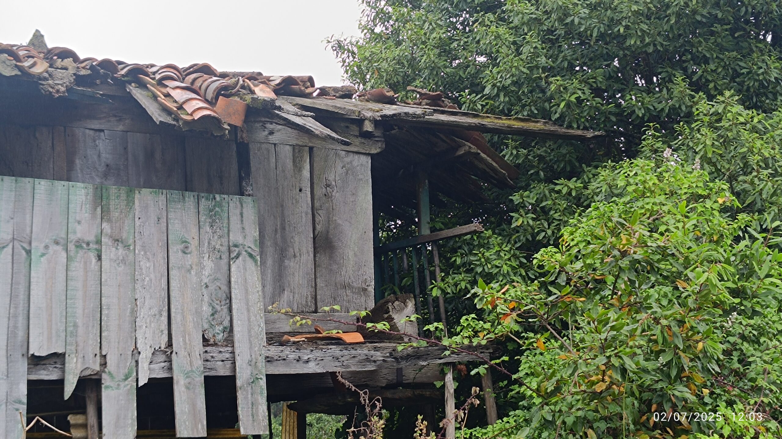 semeya-6-horru.01.Llamuñu-Cuideiru-02.07.2024