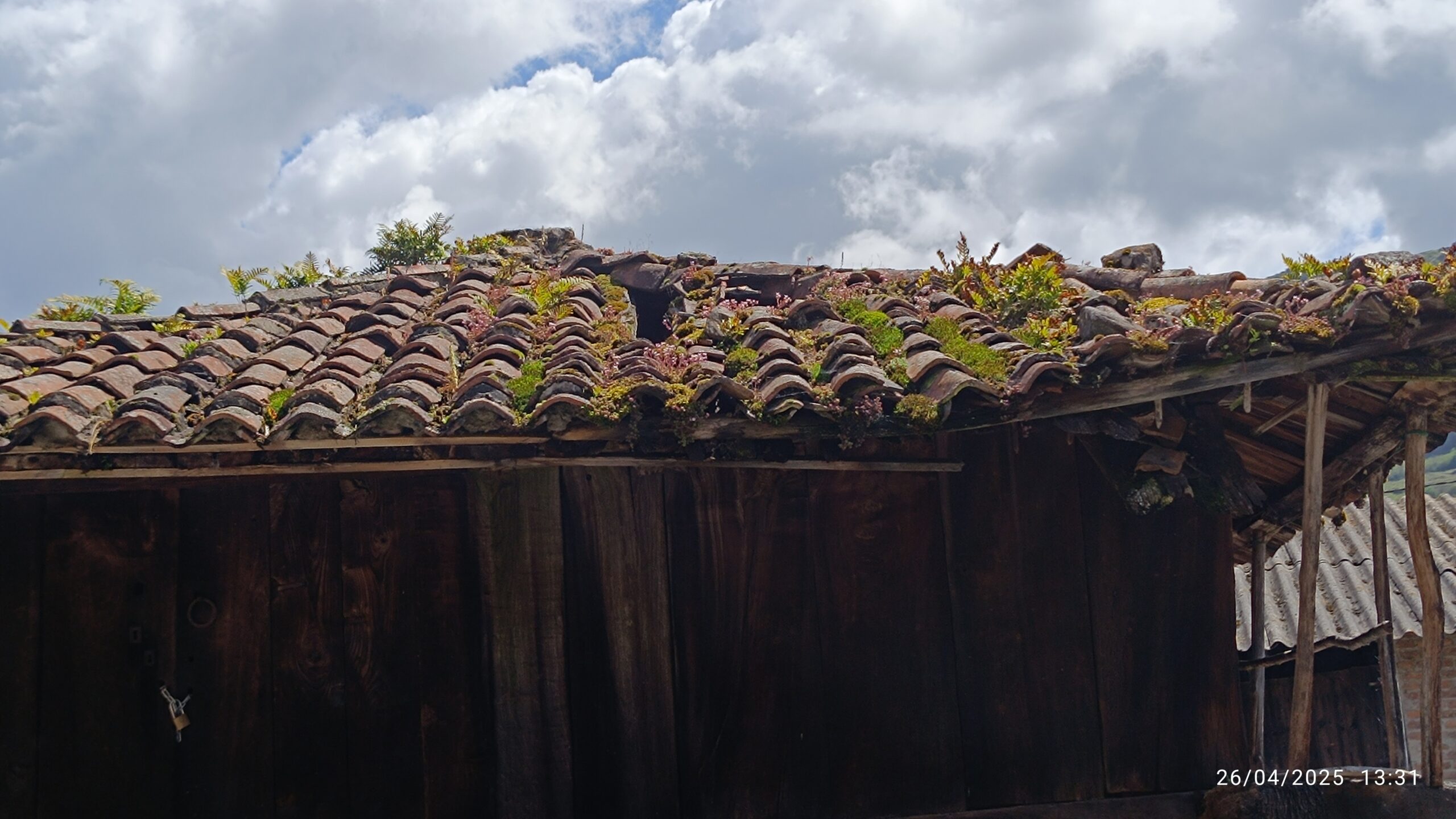 semeya-6-horru.05.Argame-Morcín-26.04.2025