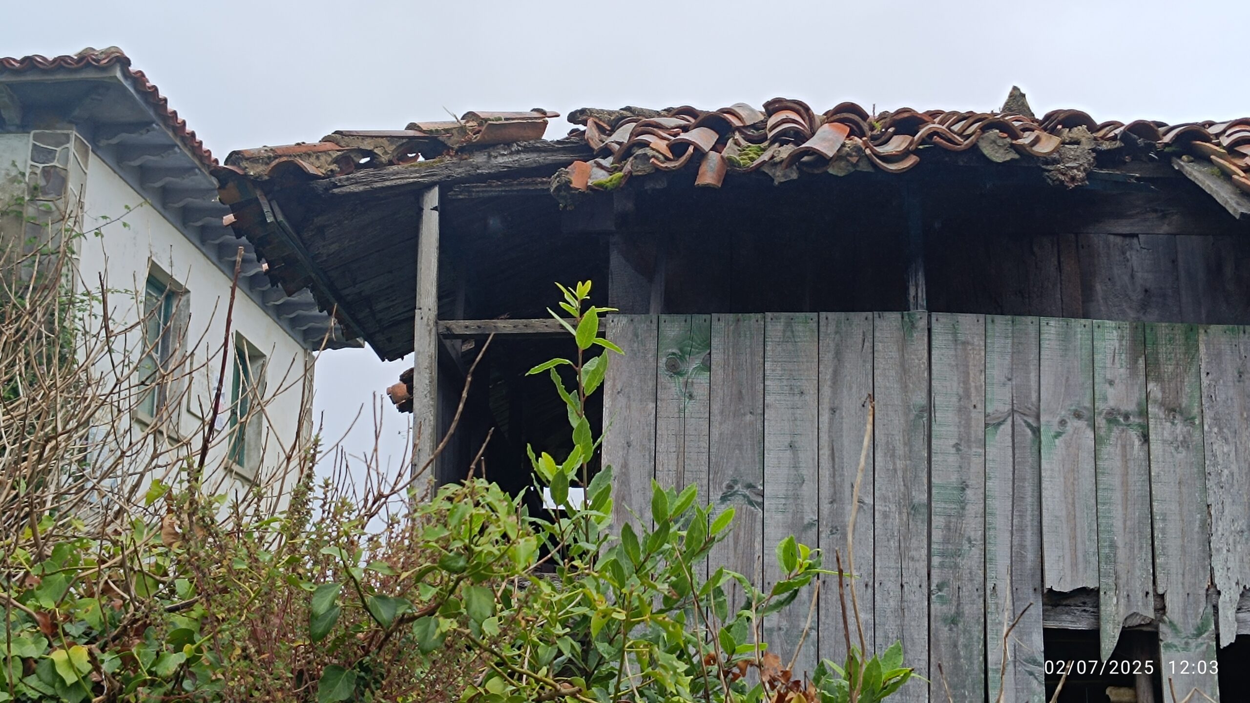 semeya-7-horru.01.Llamuñu-Cuideiru-02.07.2024