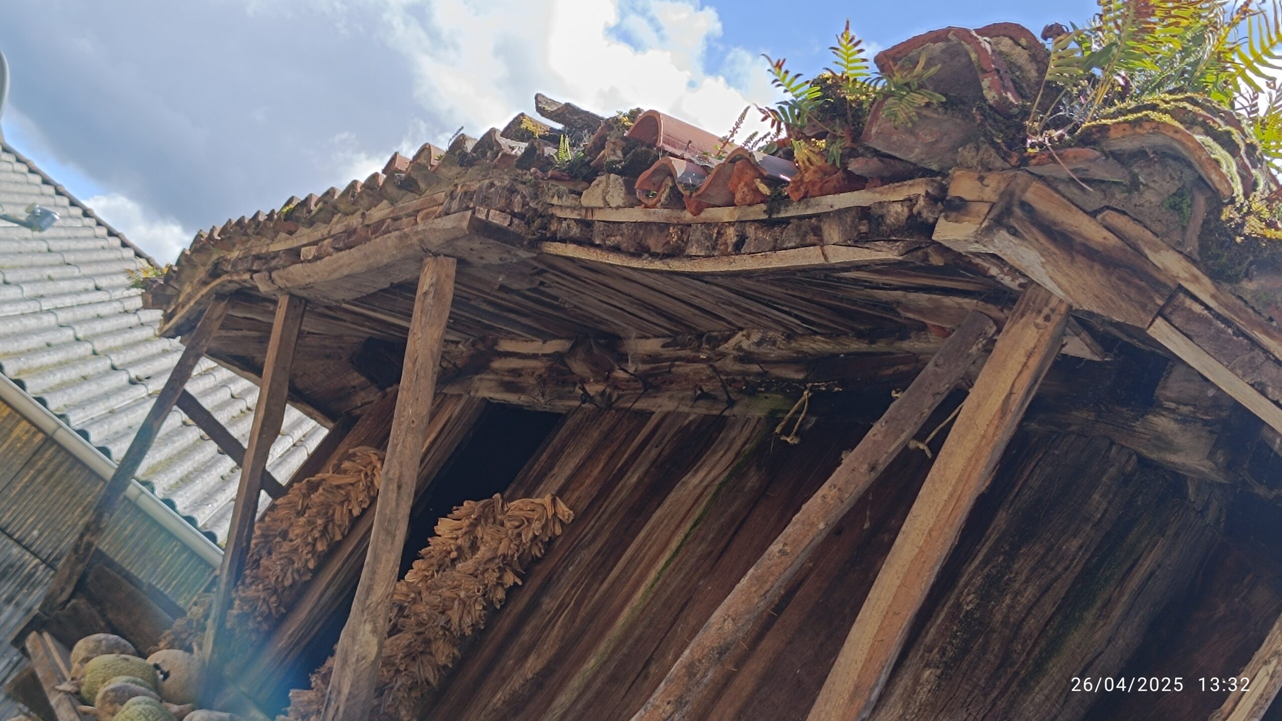 semeya-8-horru.05.Argame-Morcín-26.04.2025