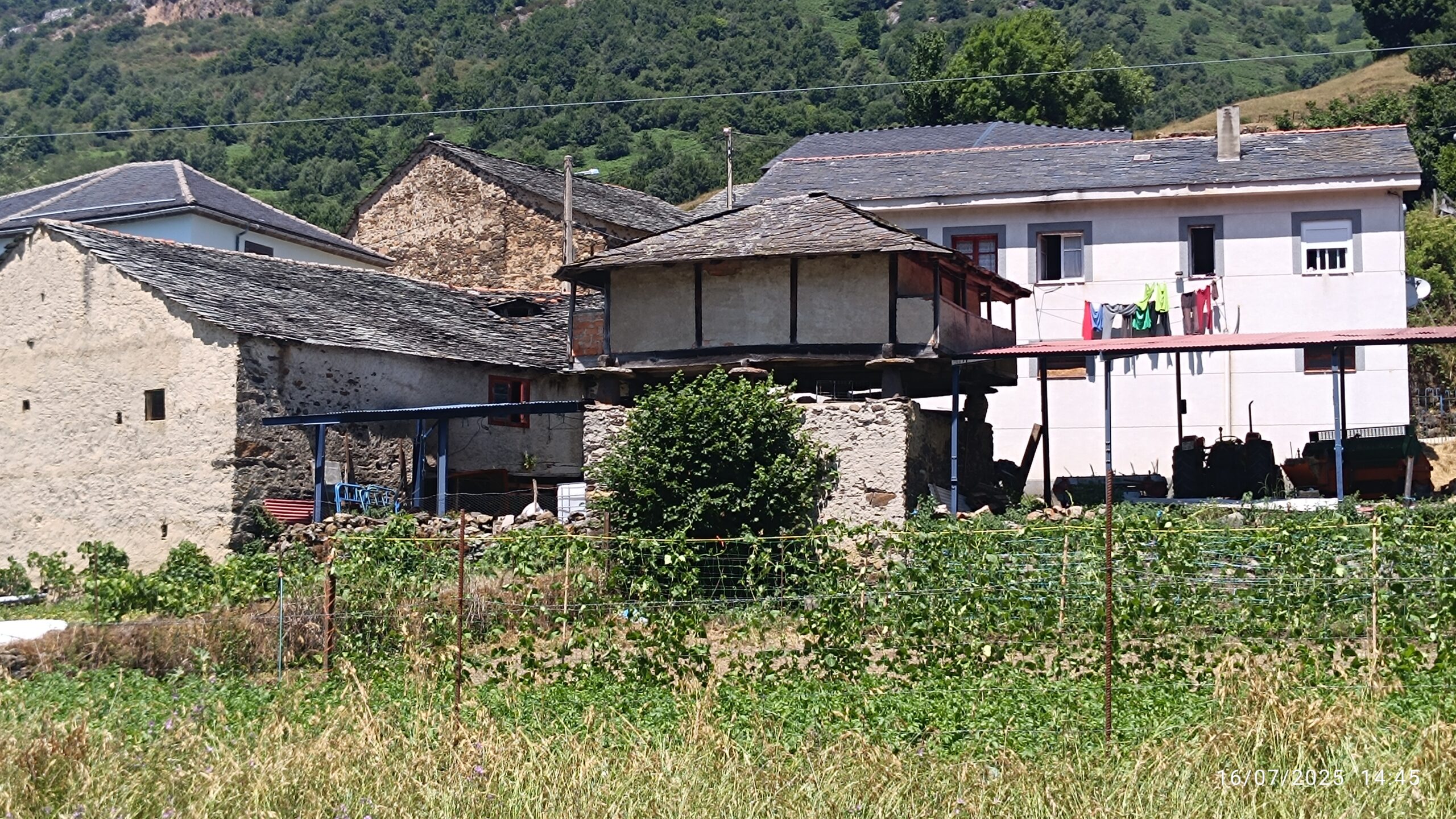 semeya-16.07.2025-2-panera.MonesteriudErmu-Cangas-