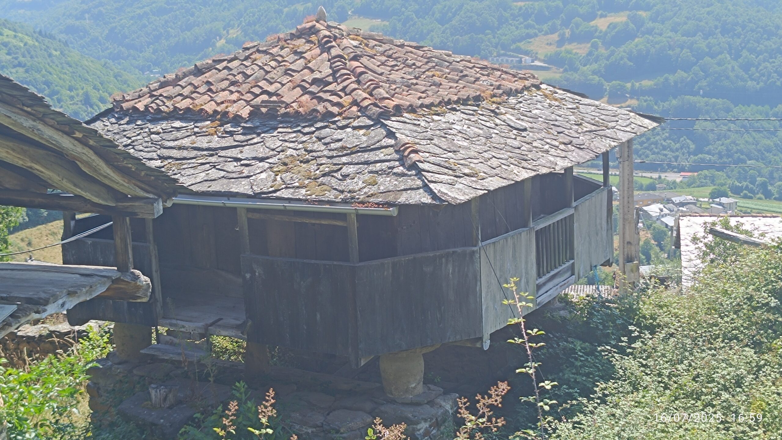 semeya-16.07.2025-3-horru.Caldevil.ladeRengos-Cangas-